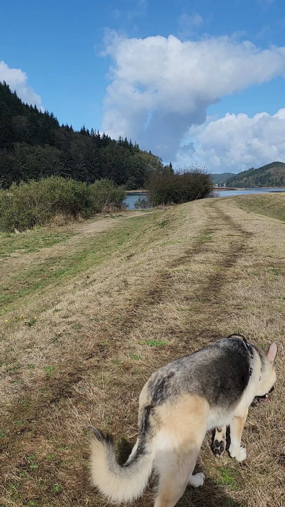 Champion Dog Park - Reedsport, OR