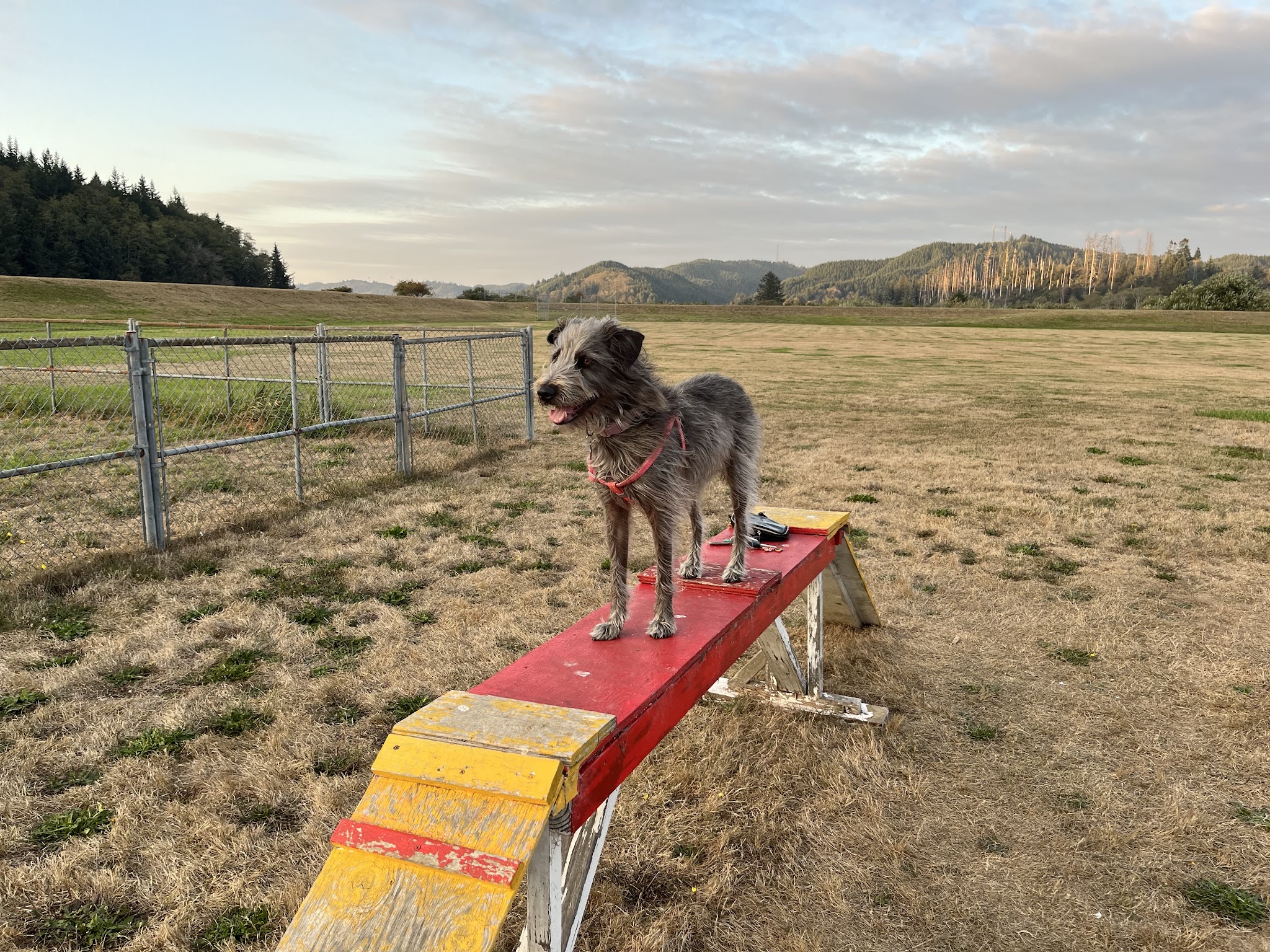 Champion Dog Park - Reedsport, OR