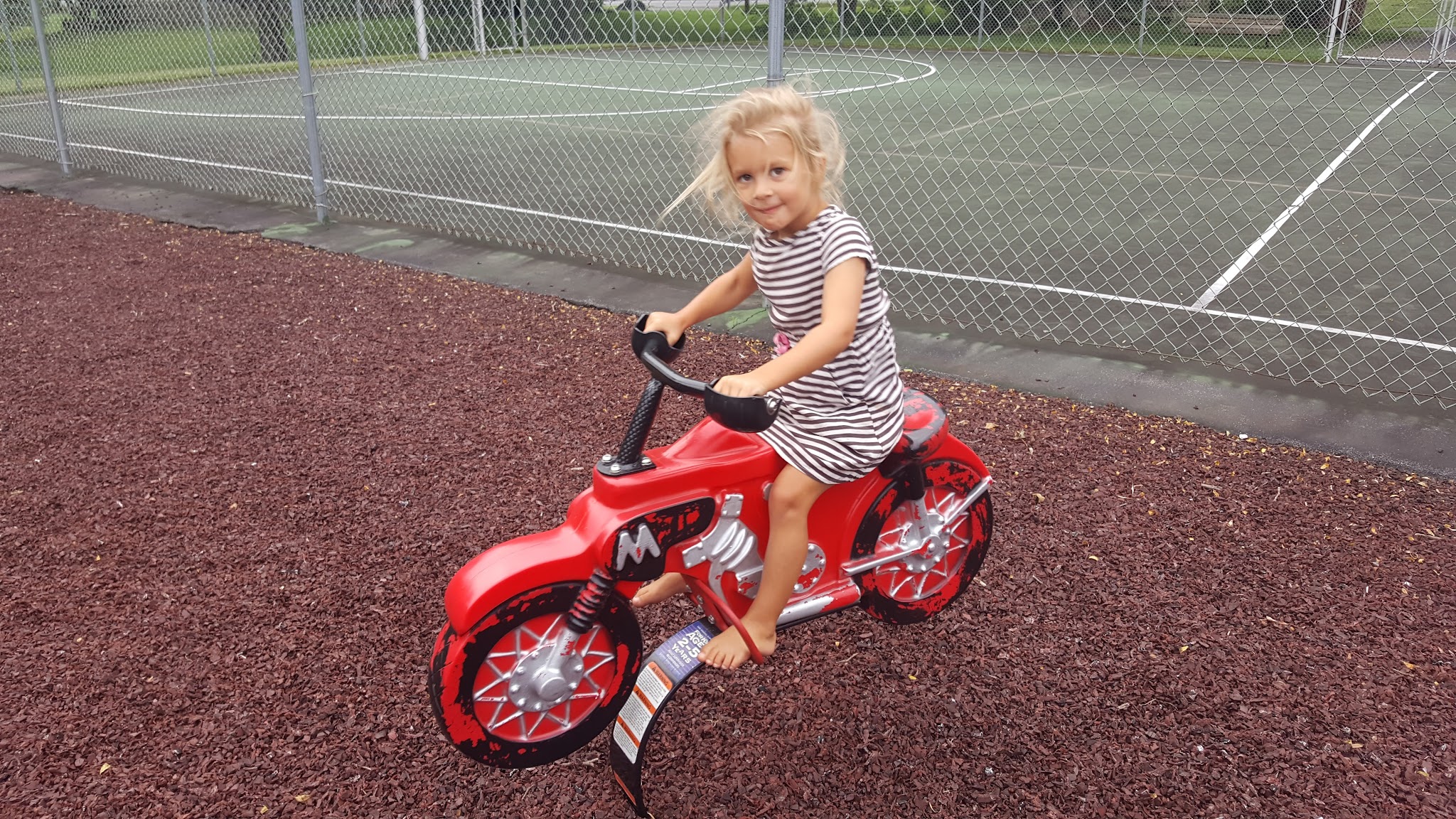 Reinholds Community Park - Reinholds, PA