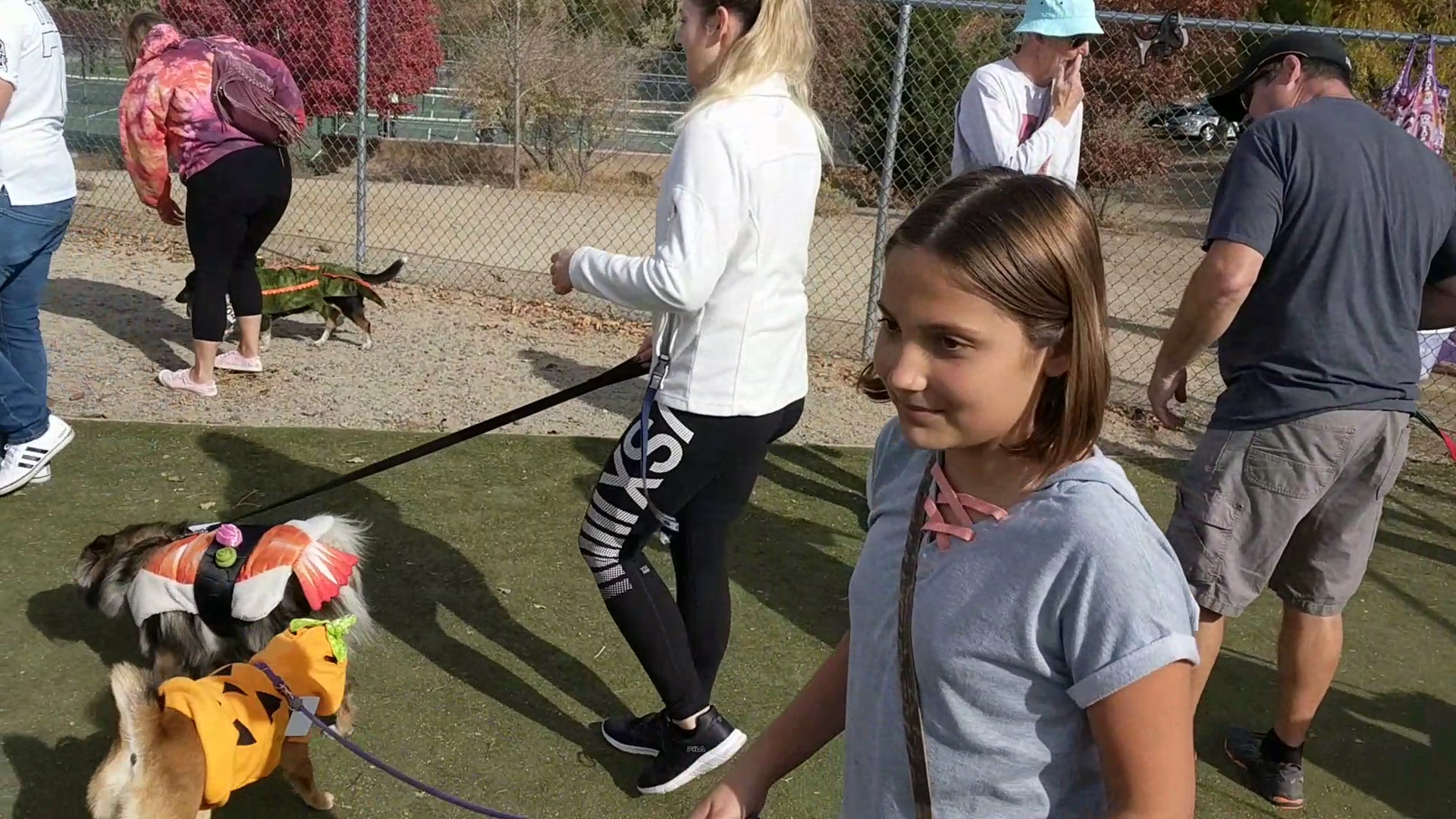 Link Piazzo Dog Park - Reno, NV