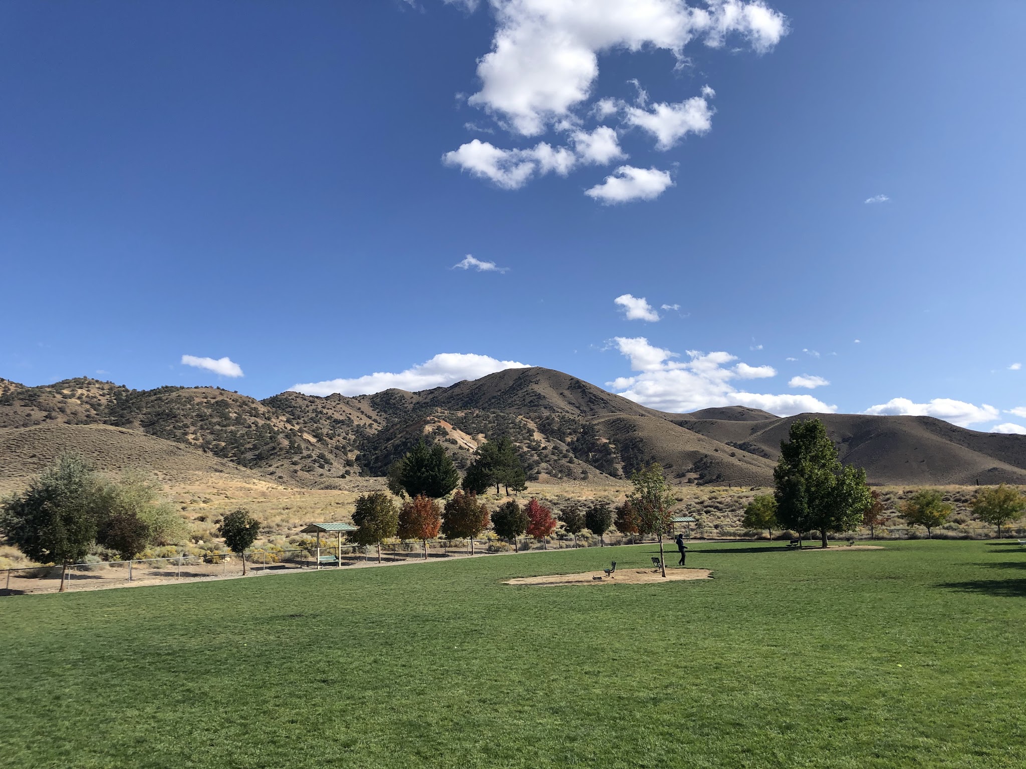 Link Piazzo Dog Park - Reno, NV