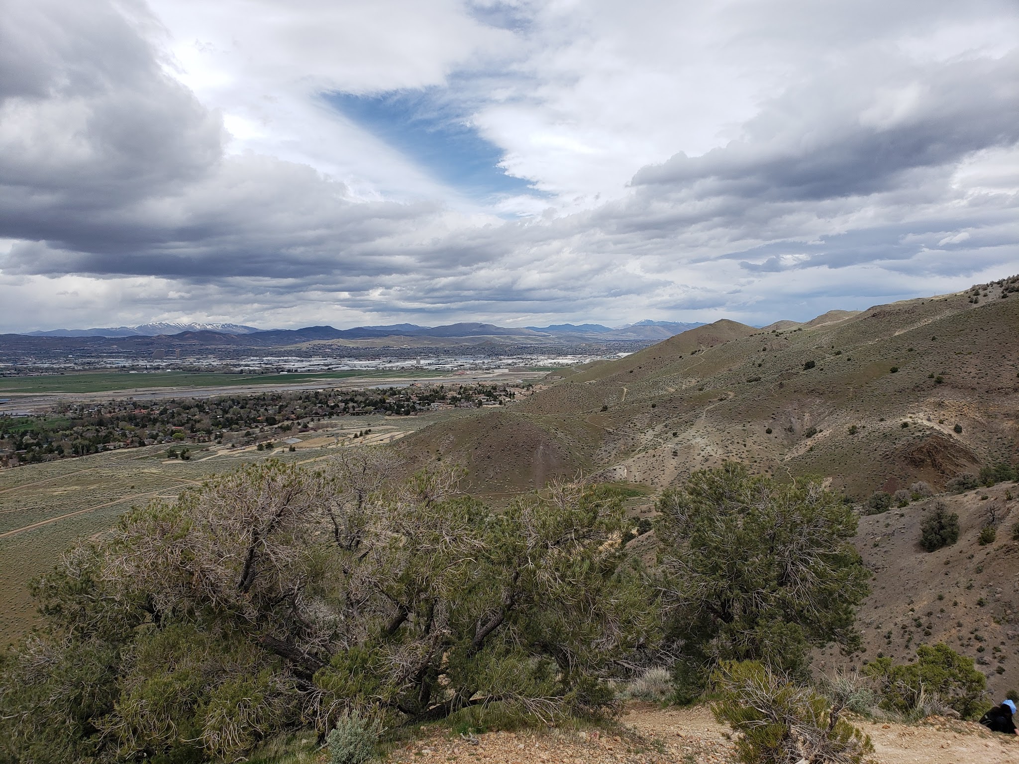 Link Piazzo Dog Park - Reno, NV
