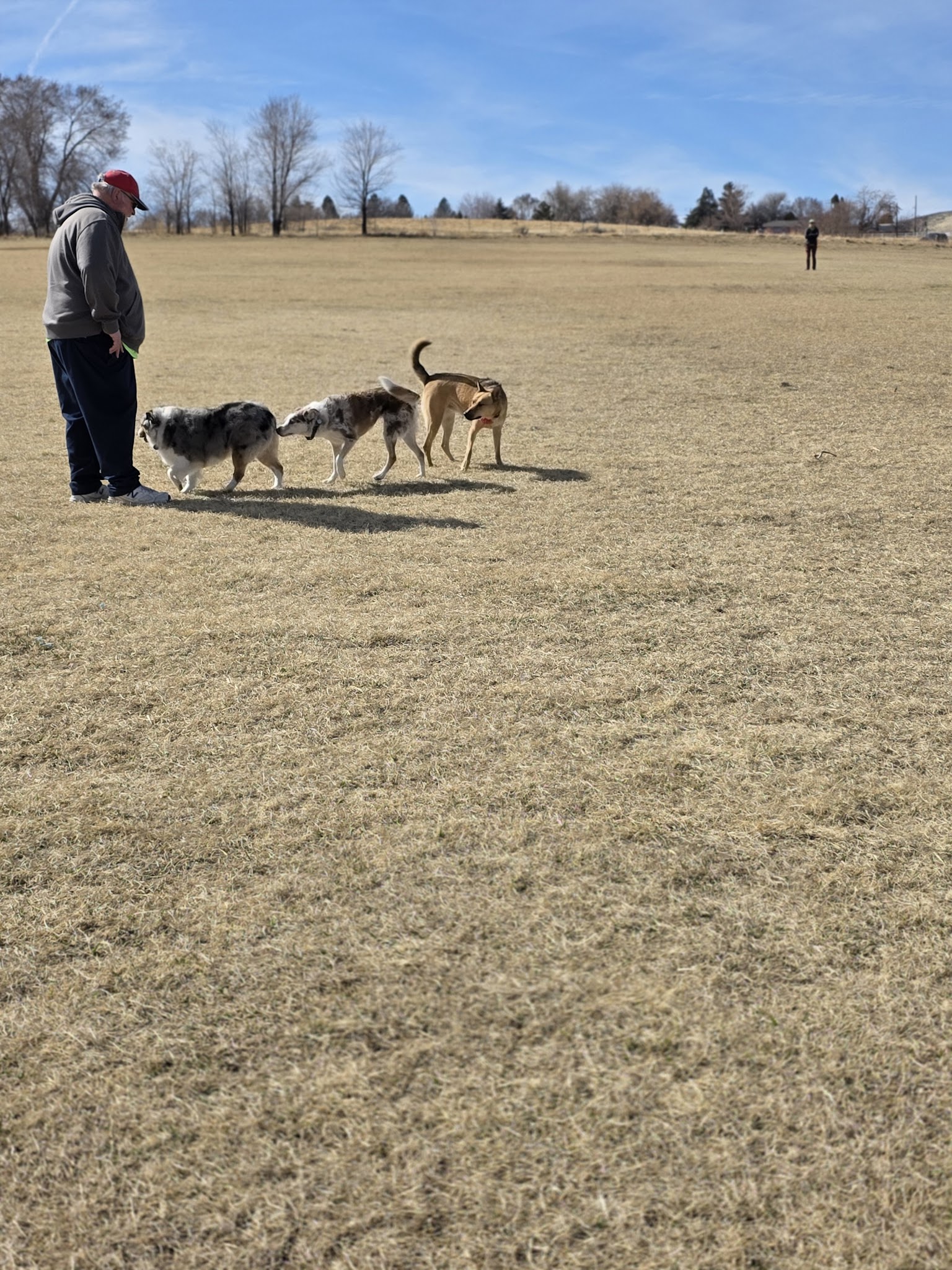 Rancho San Rafael Off-Leash Dog Park - Reno, NV