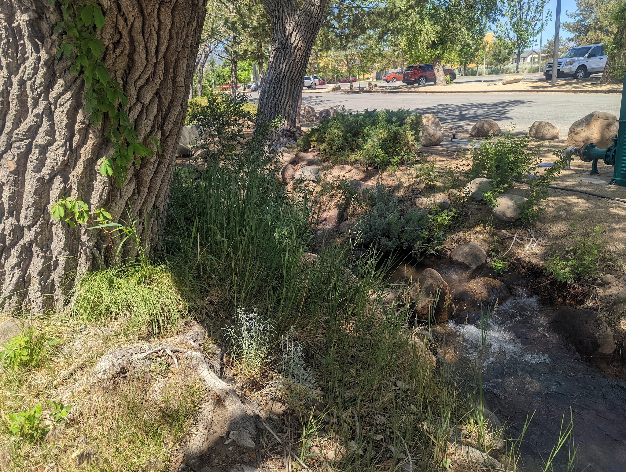 South Valleys Dog Park - Reno, NV