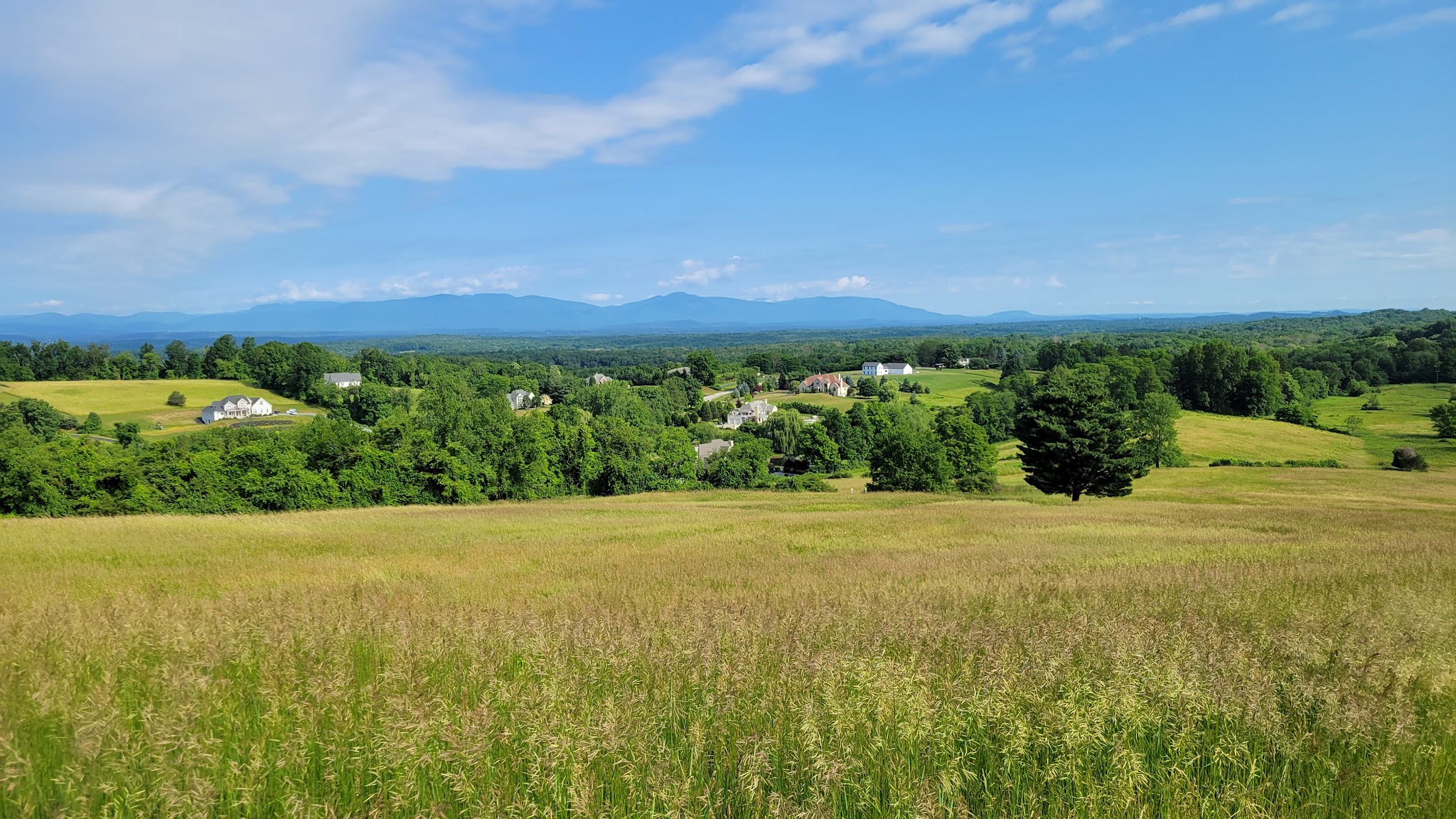 Drayton Grant Park at Burger Hill - Rhinebeck, NY