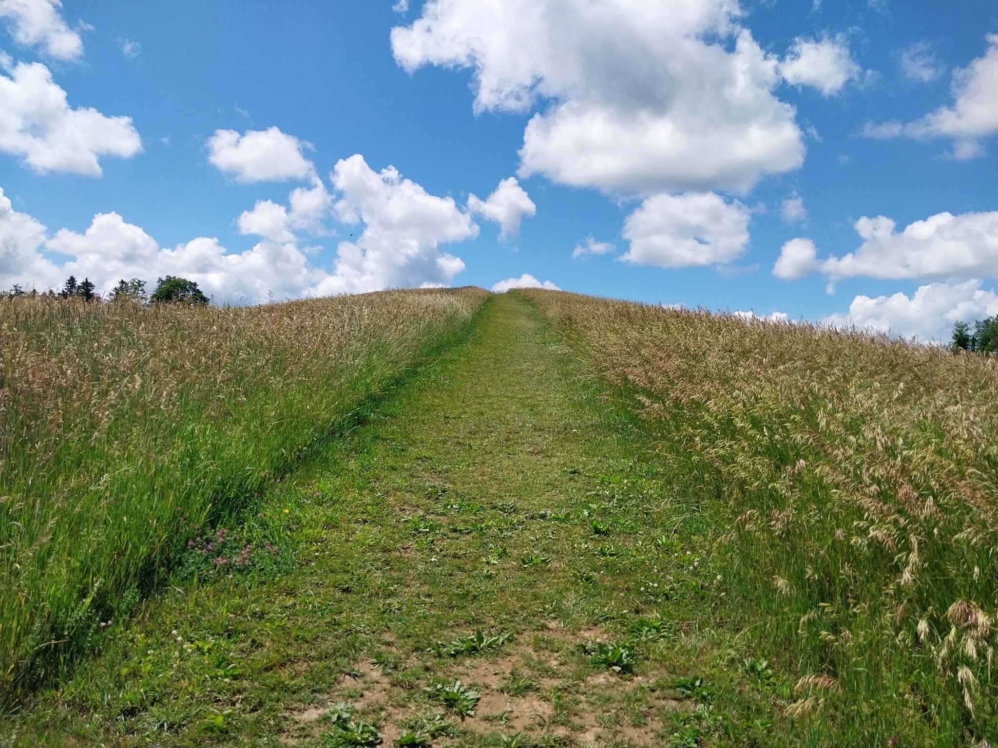 Drayton Grant Park at Burger Hill - Rhinebeck, NY