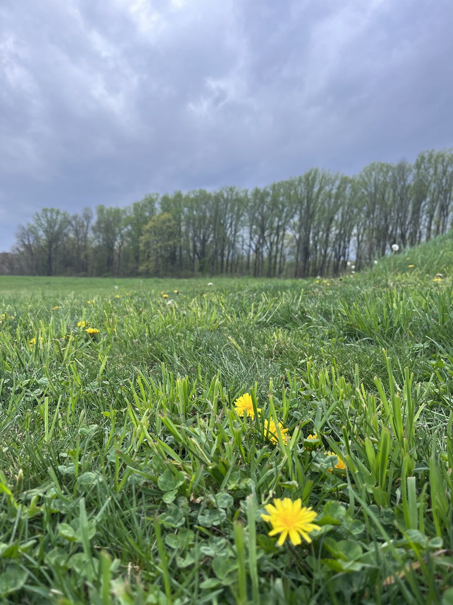 Thompson-Mazzarella Park - Rhinebeck, NY