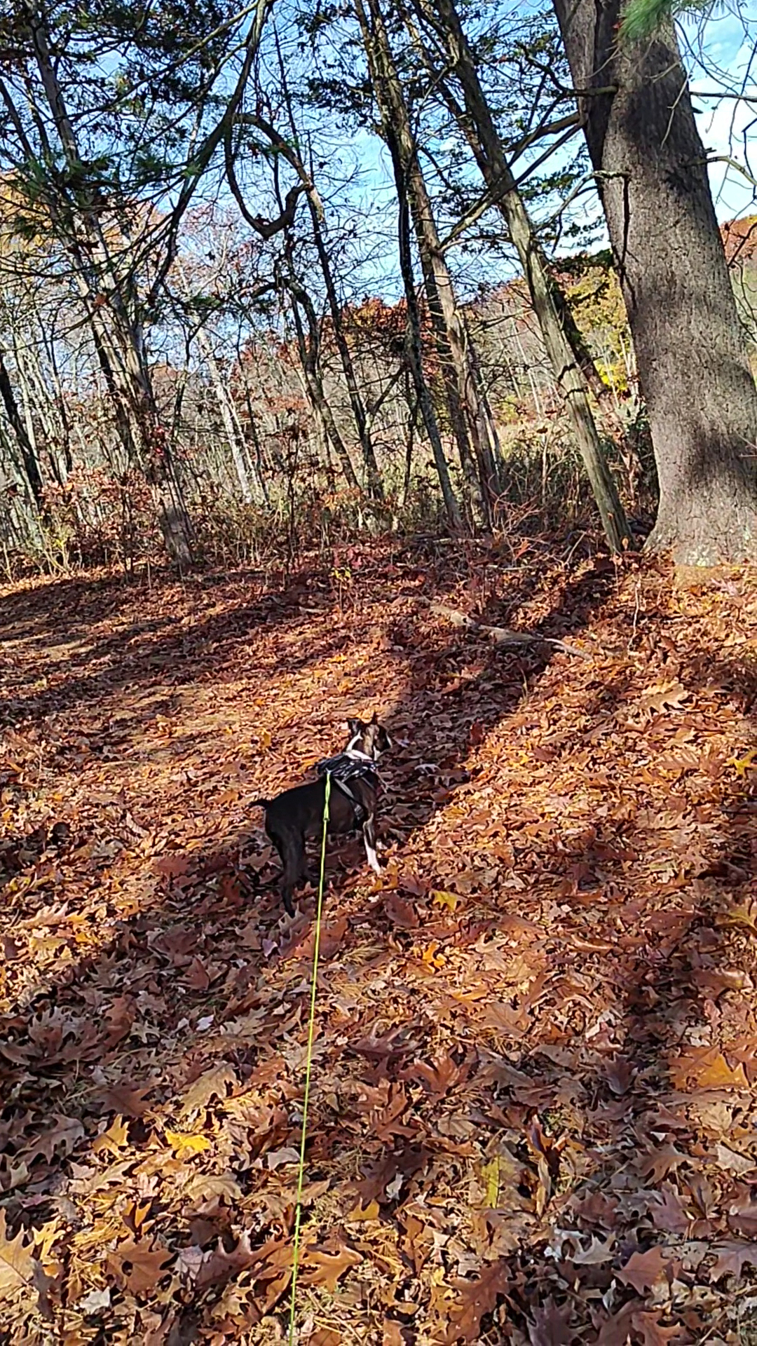 Vlei Marsh Trail - Rhinebeck, NY