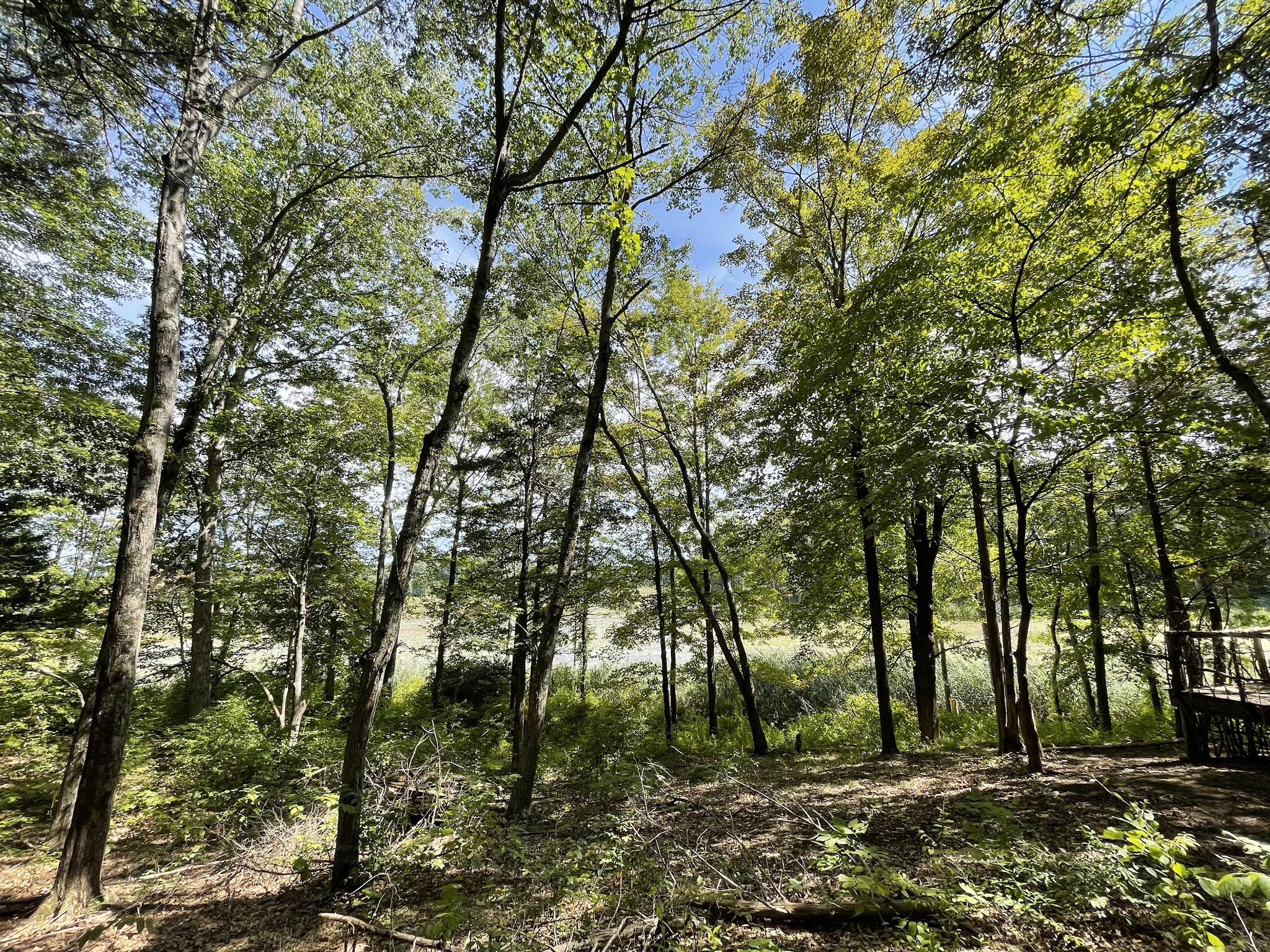 Vlei Marsh Trail - Rhinebeck, NY