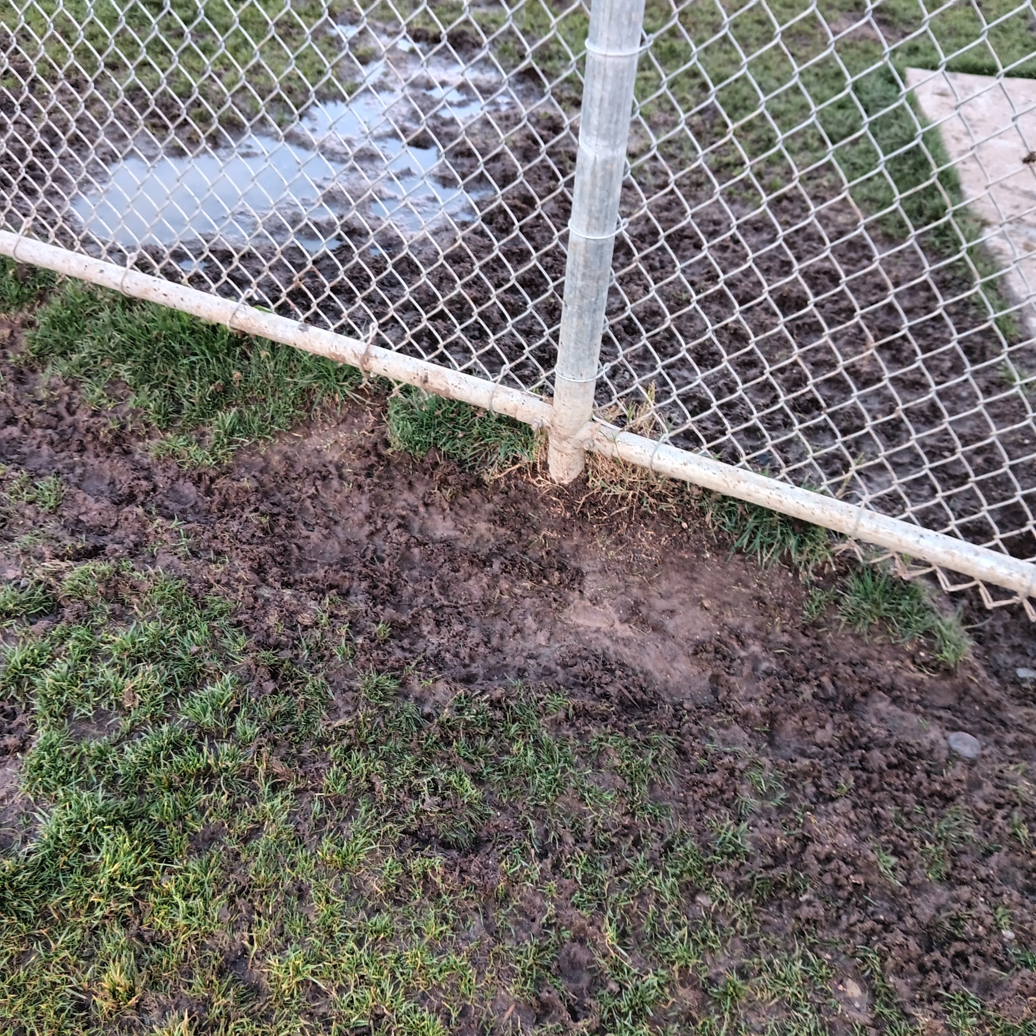 Frisbee Dog Park - Rialto, CA