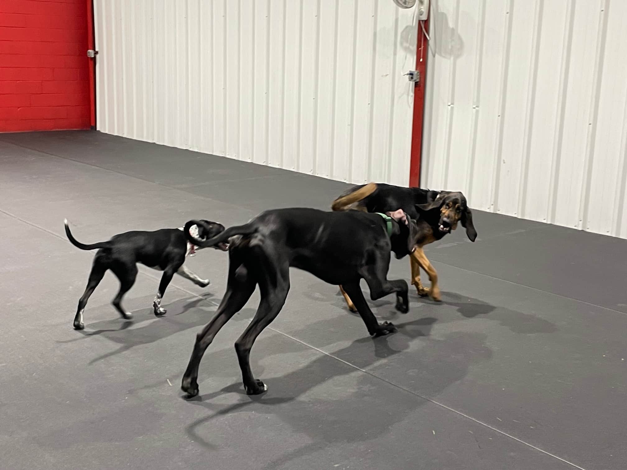 Zoila's Zone - Richfield, WI