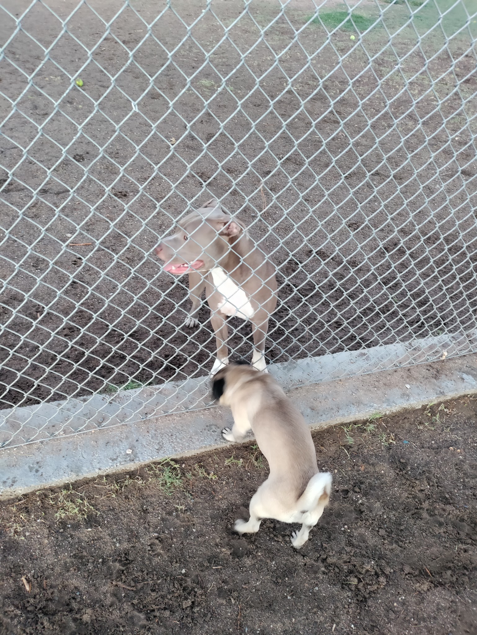 Off Leash Dog Park - Ridgecrest, CA