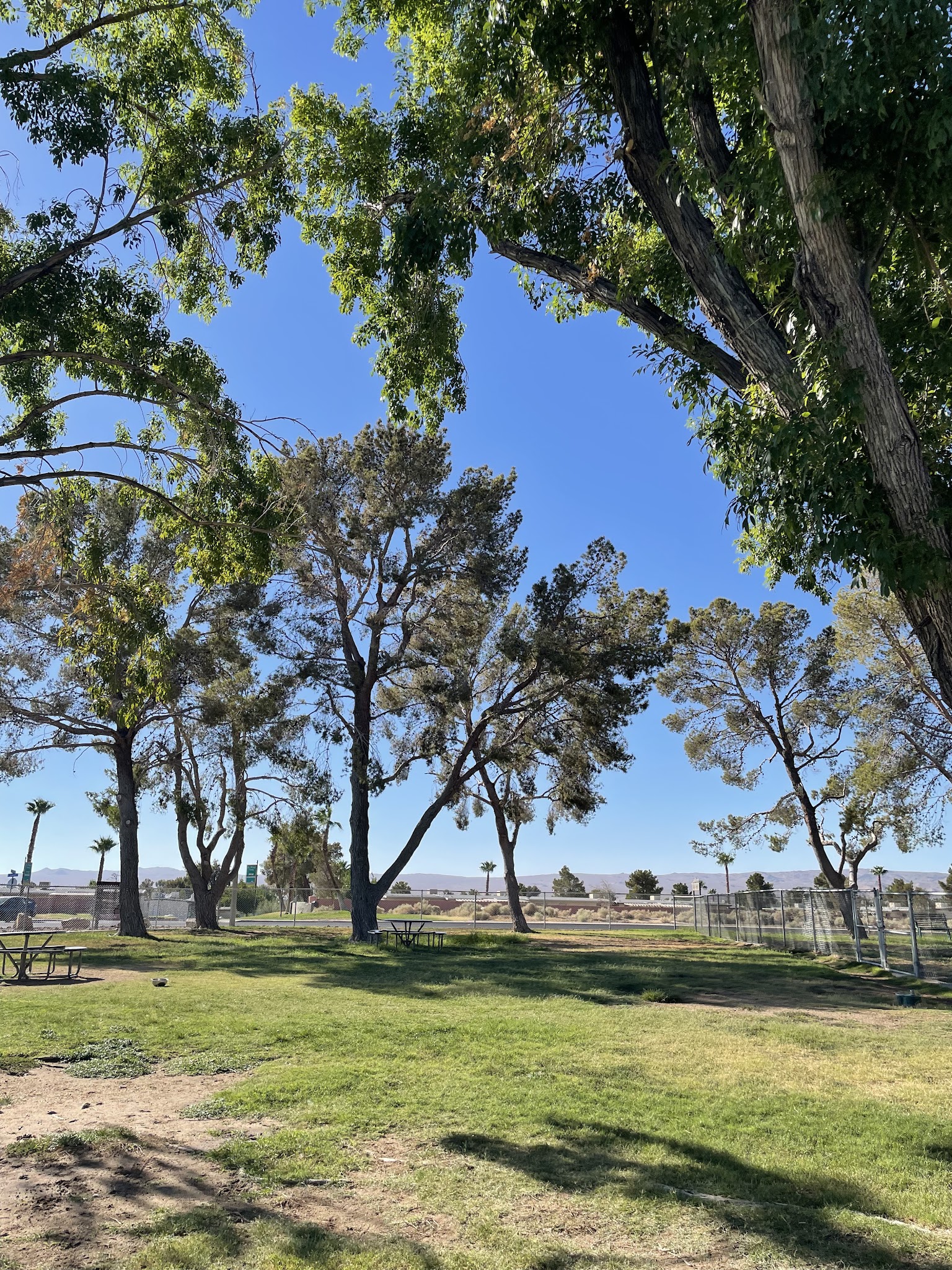 Off Leash Dog Park - Ridgecrest, CA