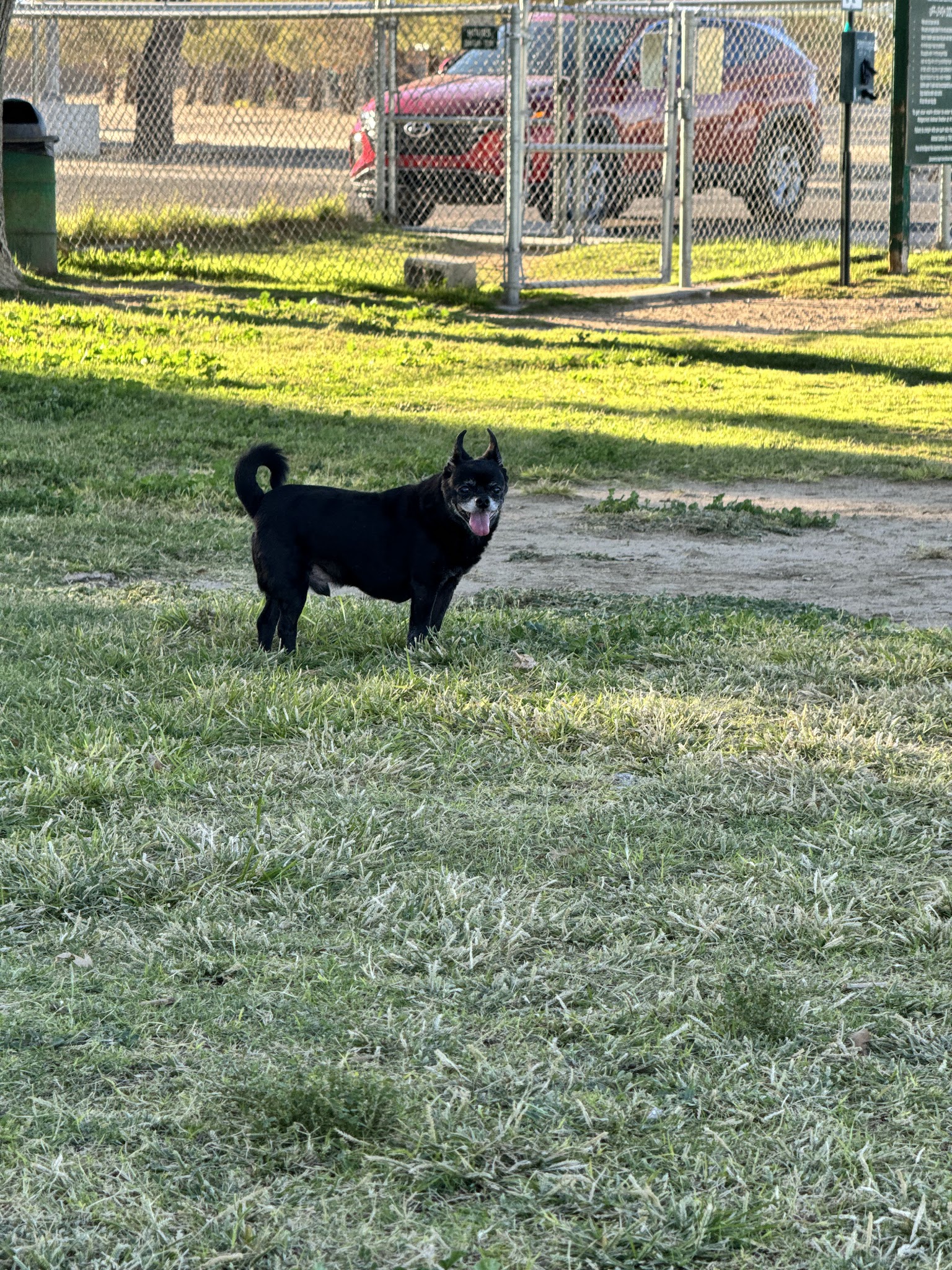 Off Leash Dog Park - Ridgecrest, CA