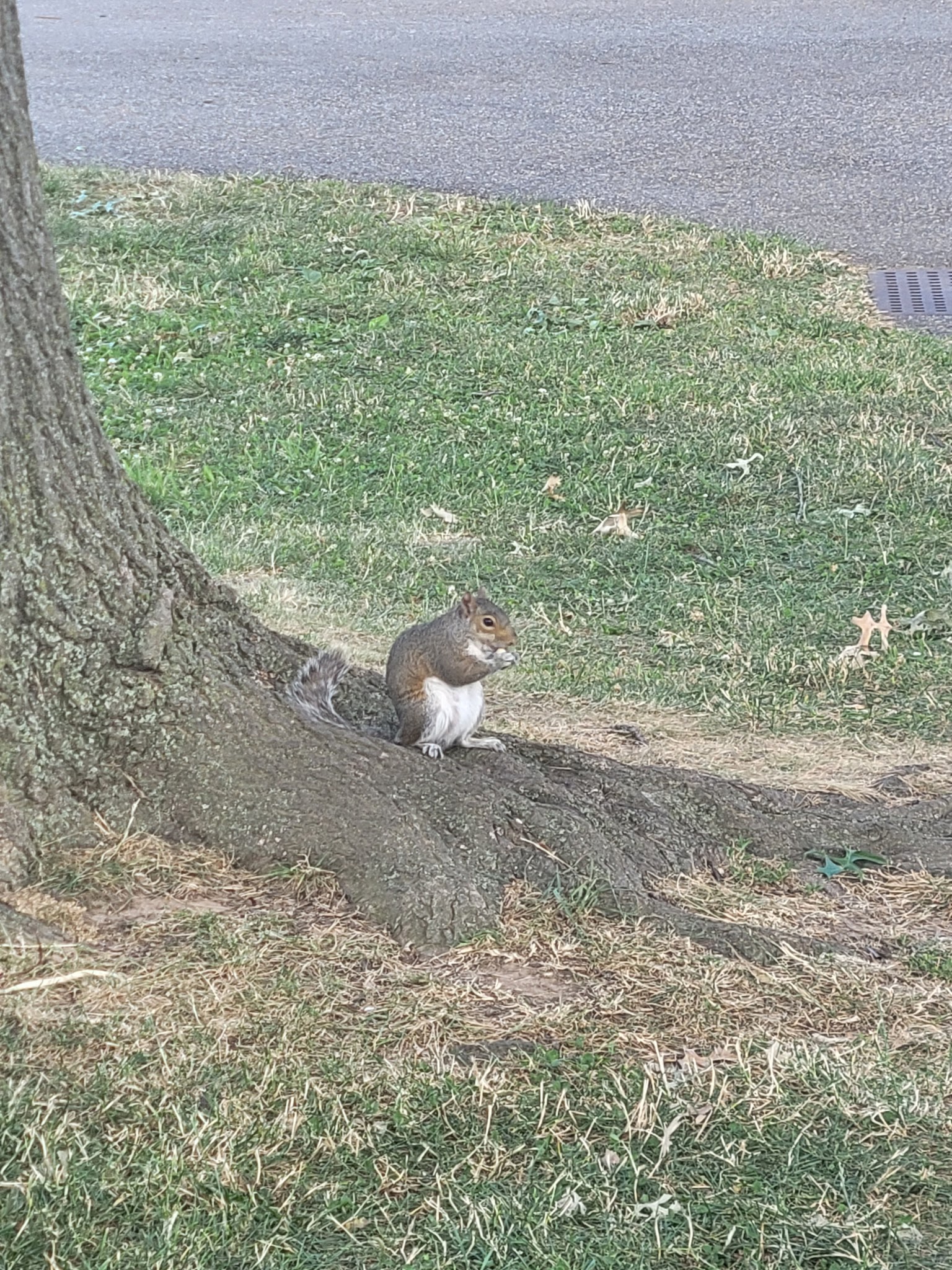 Veterans Memorial Park - Ridgefield, NJ