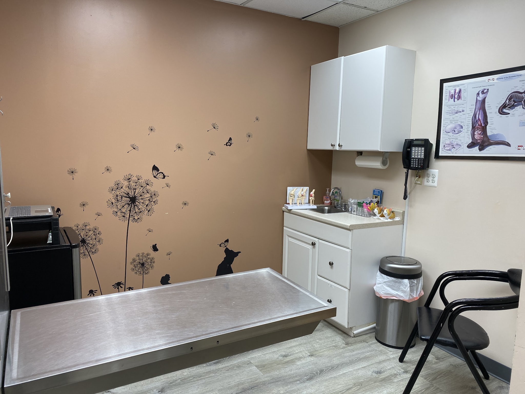 Ridgefield Park Animal Hospital - Ridgefield Park, NJ
