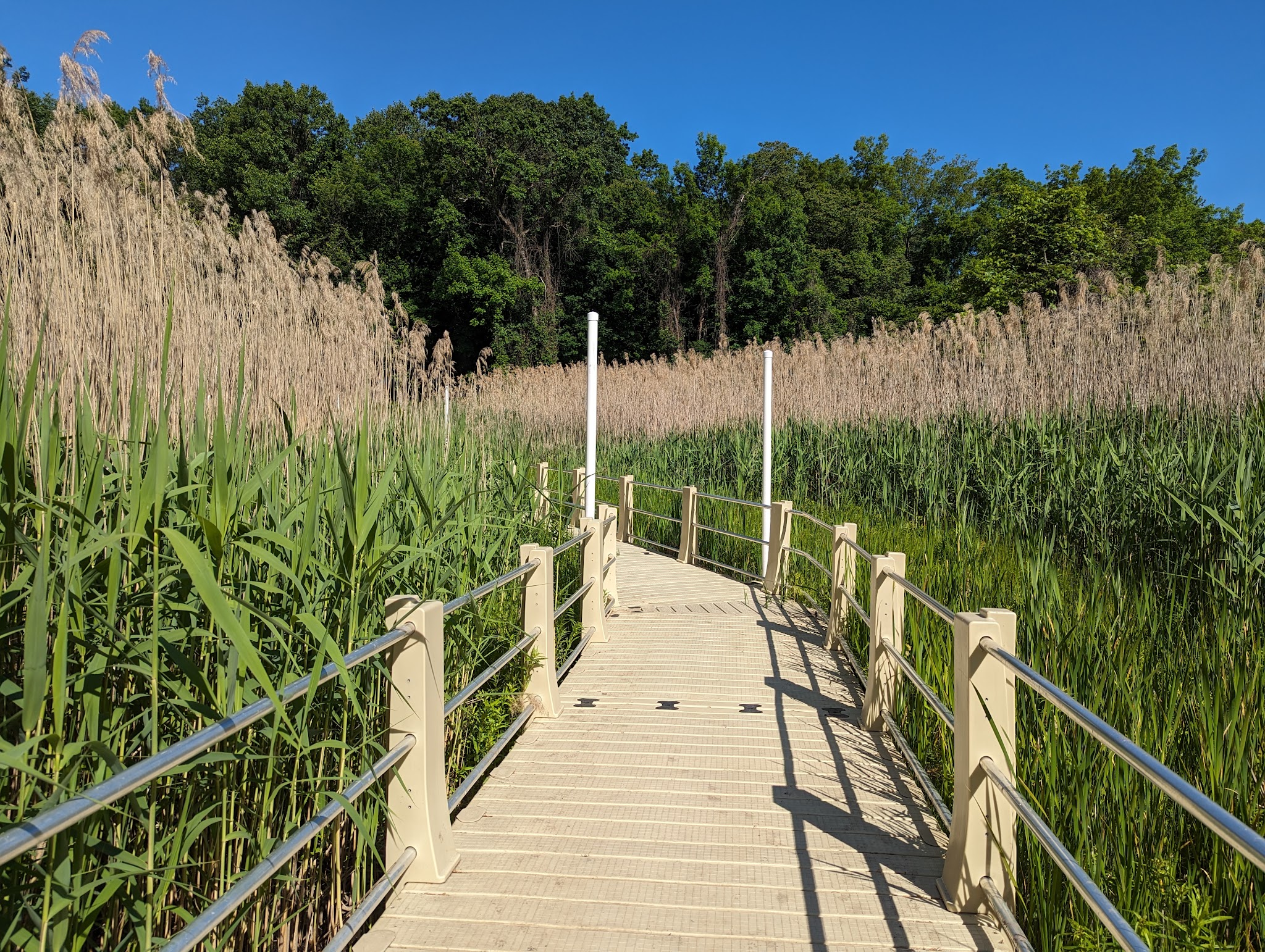 Ridgefield Park Nature Preserve - Ridgefield Park, NJ