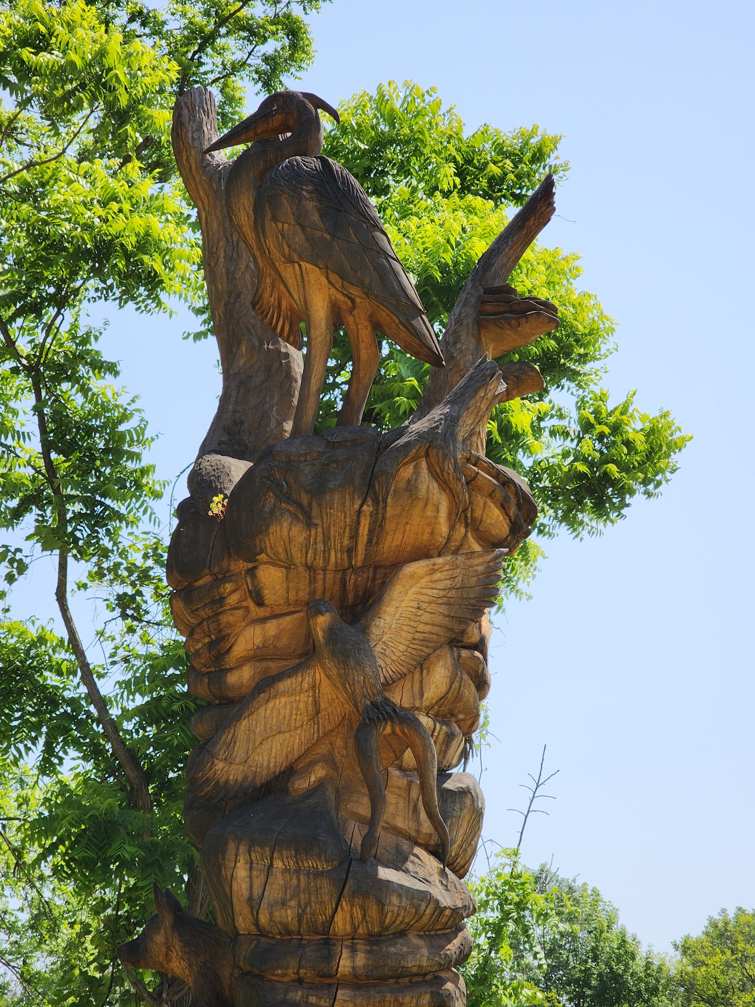 Ridgefield Park Nature Preserve - Ridgefield Park, NJ