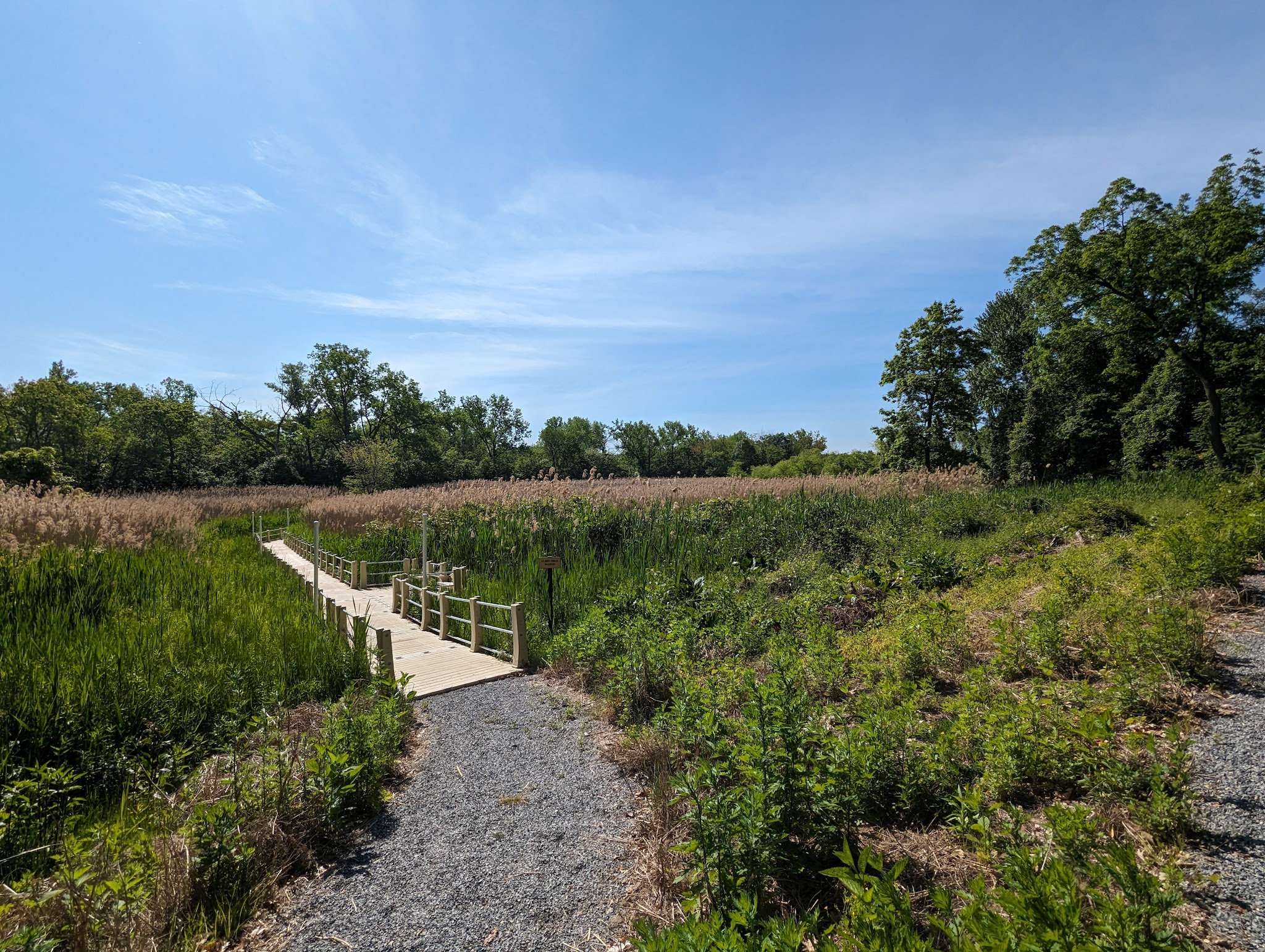 Ridgefield Park Nature Preserve - Ridgefield Park, NJ