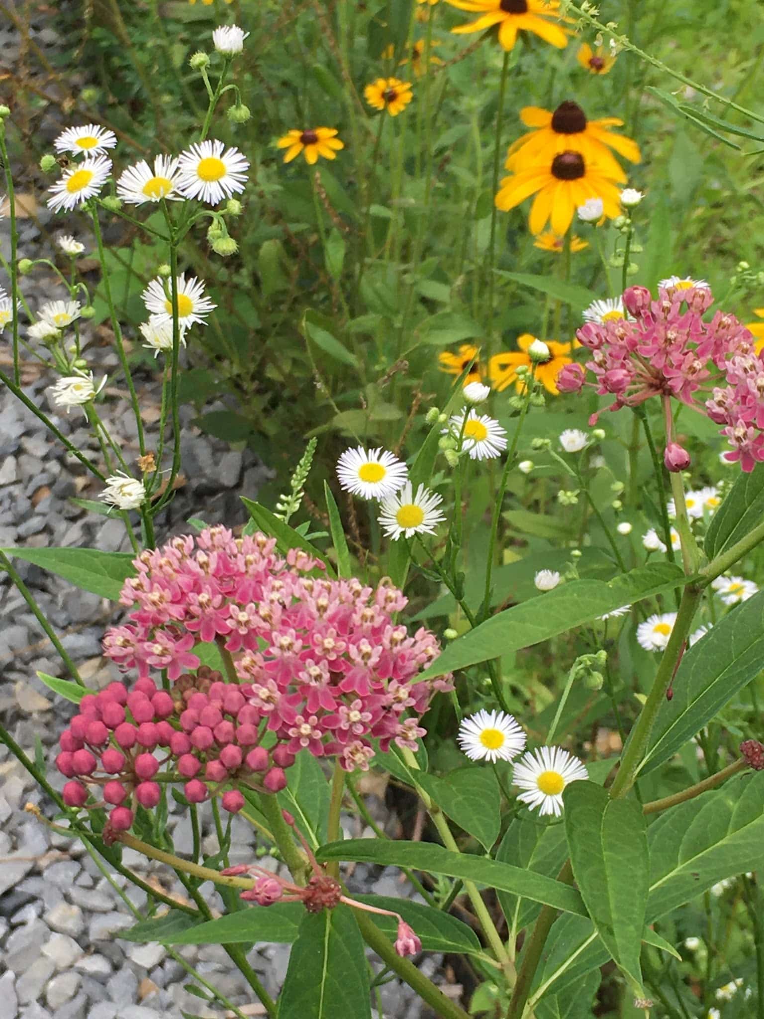 Ridgefield Park Nature Preserve - Ridgefield Park, NJ