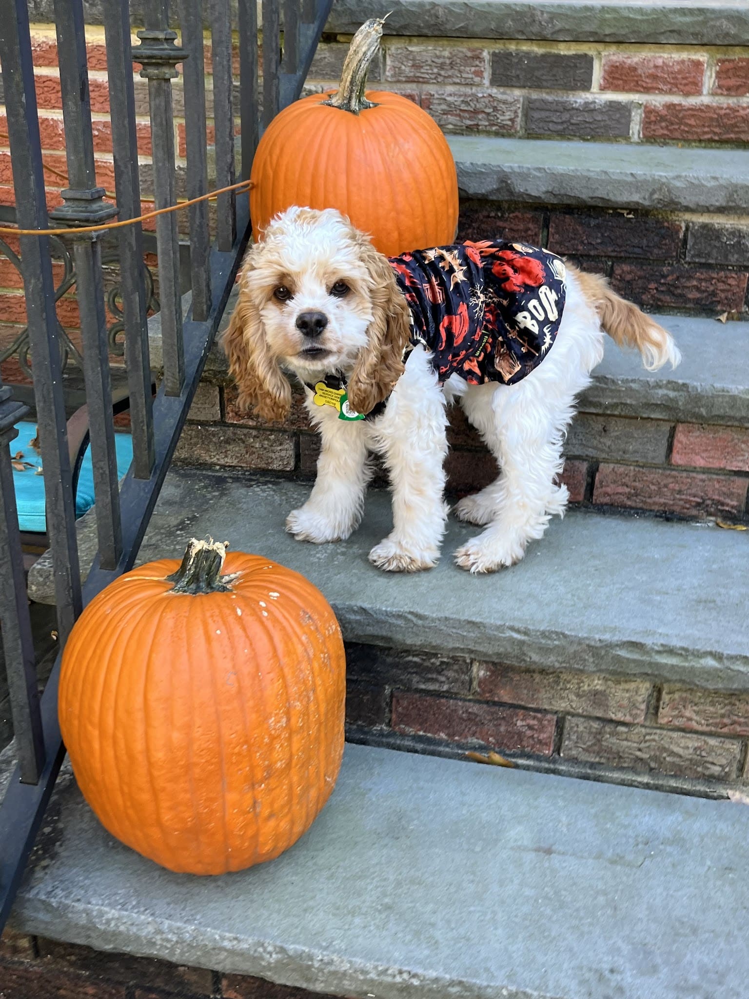 Ridgefield Park Senior Center - Ridgefield Park, NJ