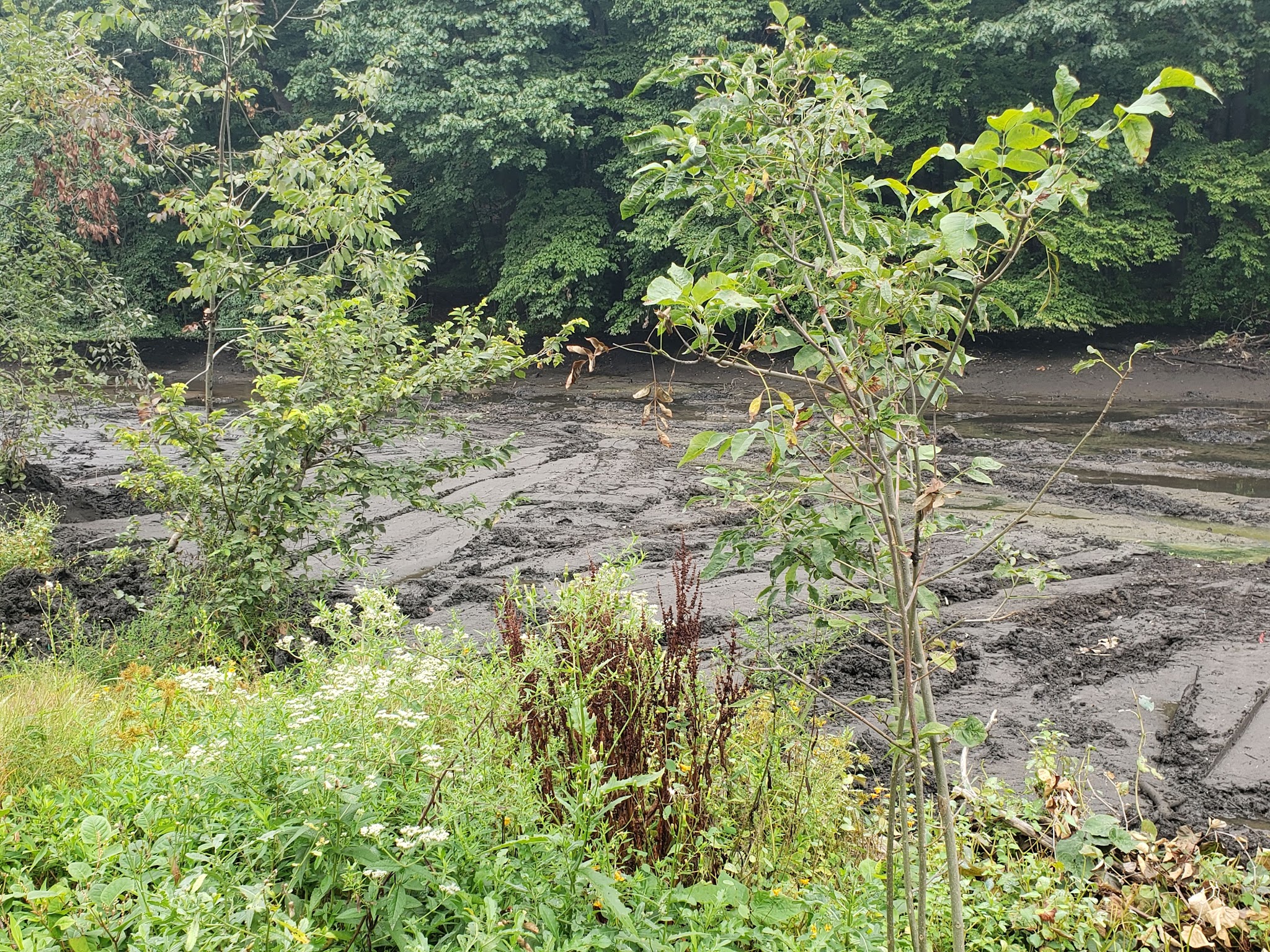 Gypsy Pond Park - Ridgewood, NJ