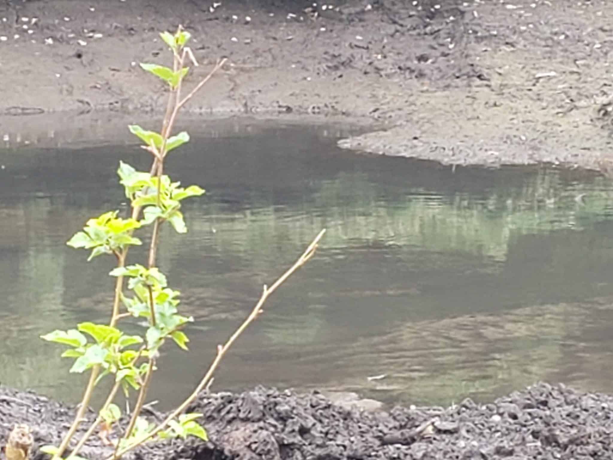 Gypsy Pond Park - Ridgewood, NJ