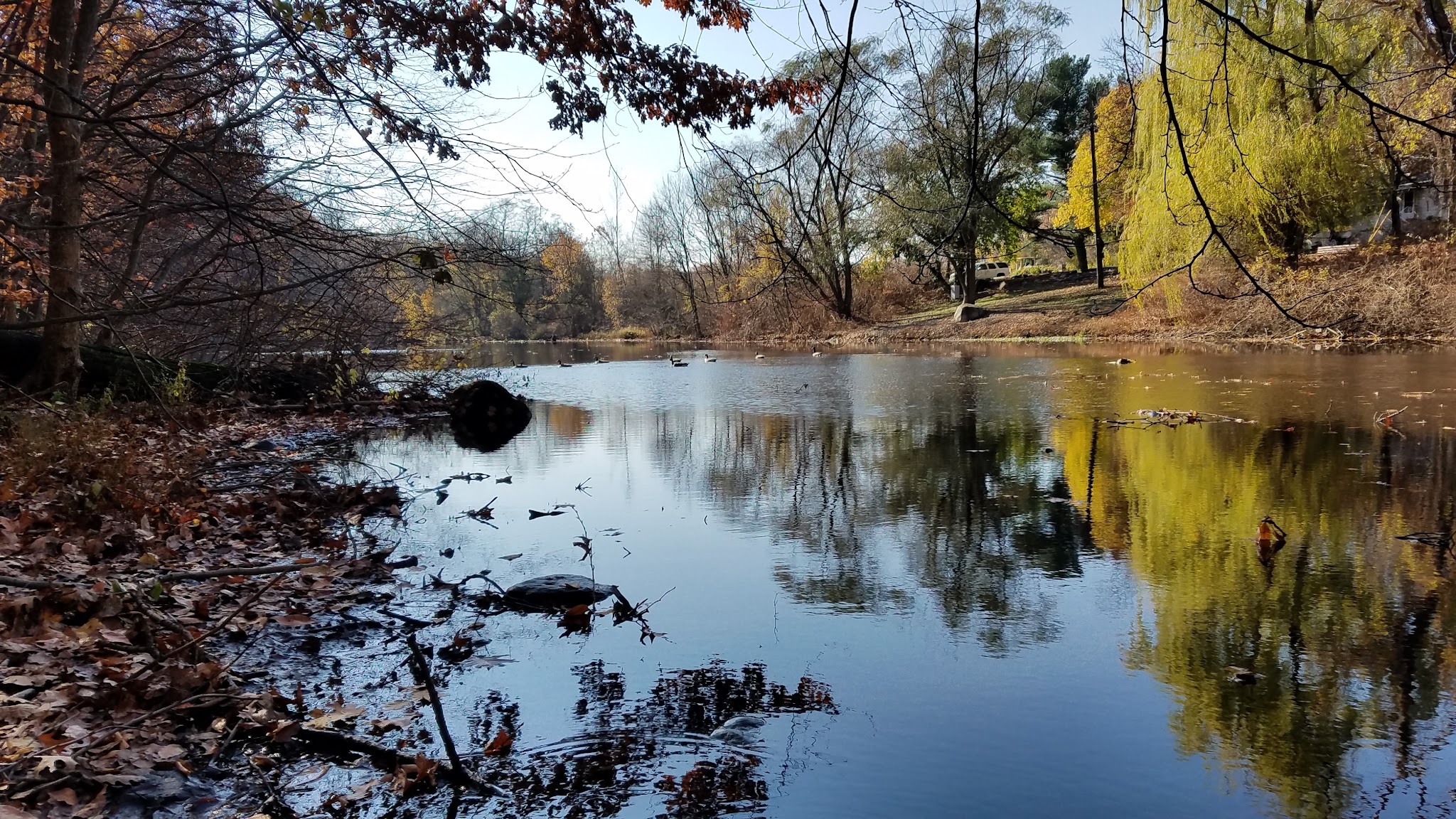 Gypsy Pond Park - Ridgewood, NJ