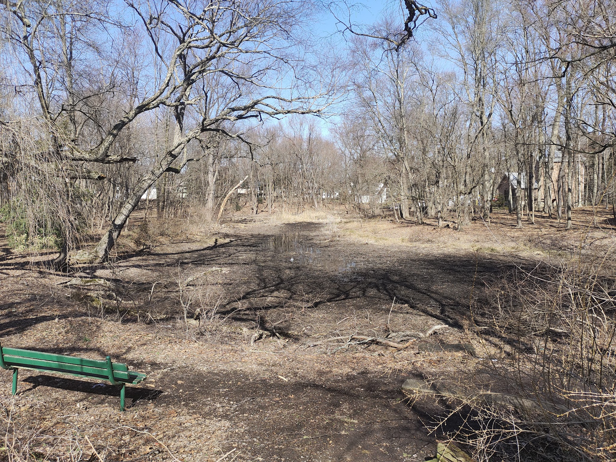 Twinney Pond Park - Ridgewood, NJ