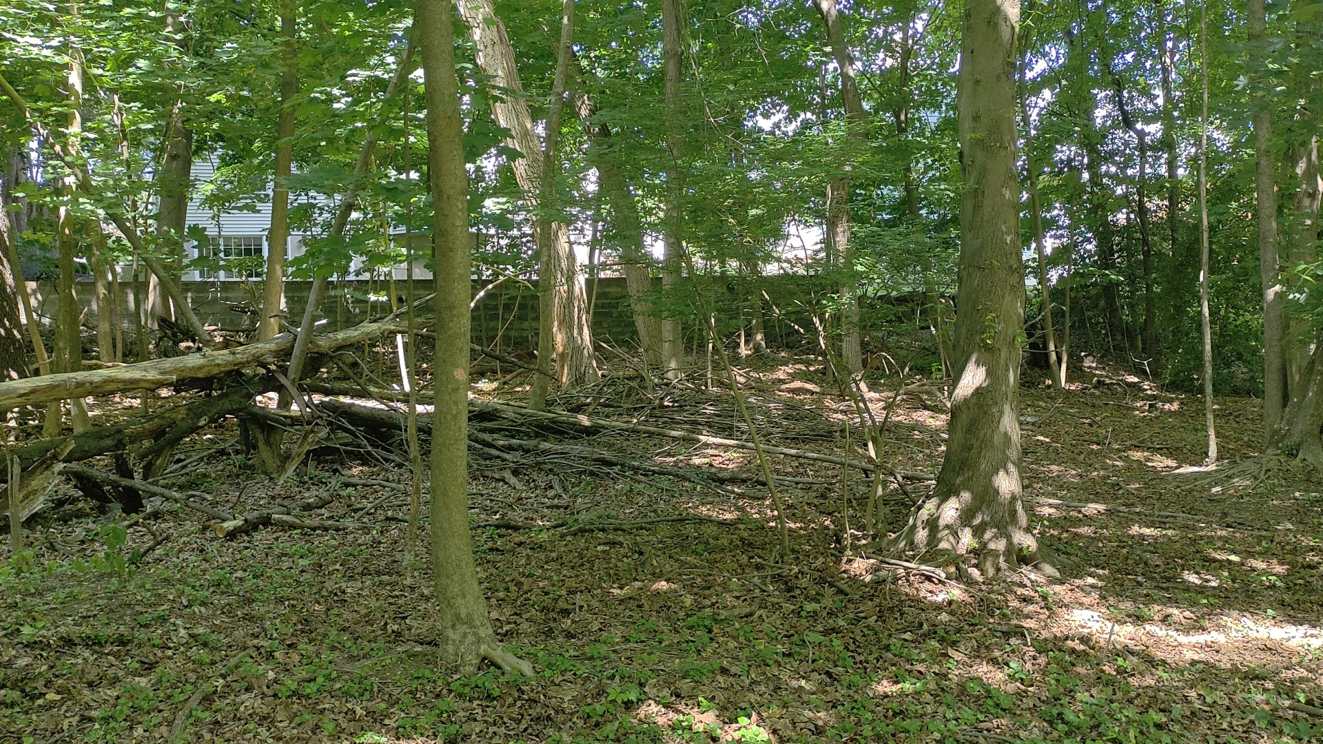 Twinney Pond Park - Ridgewood, NJ