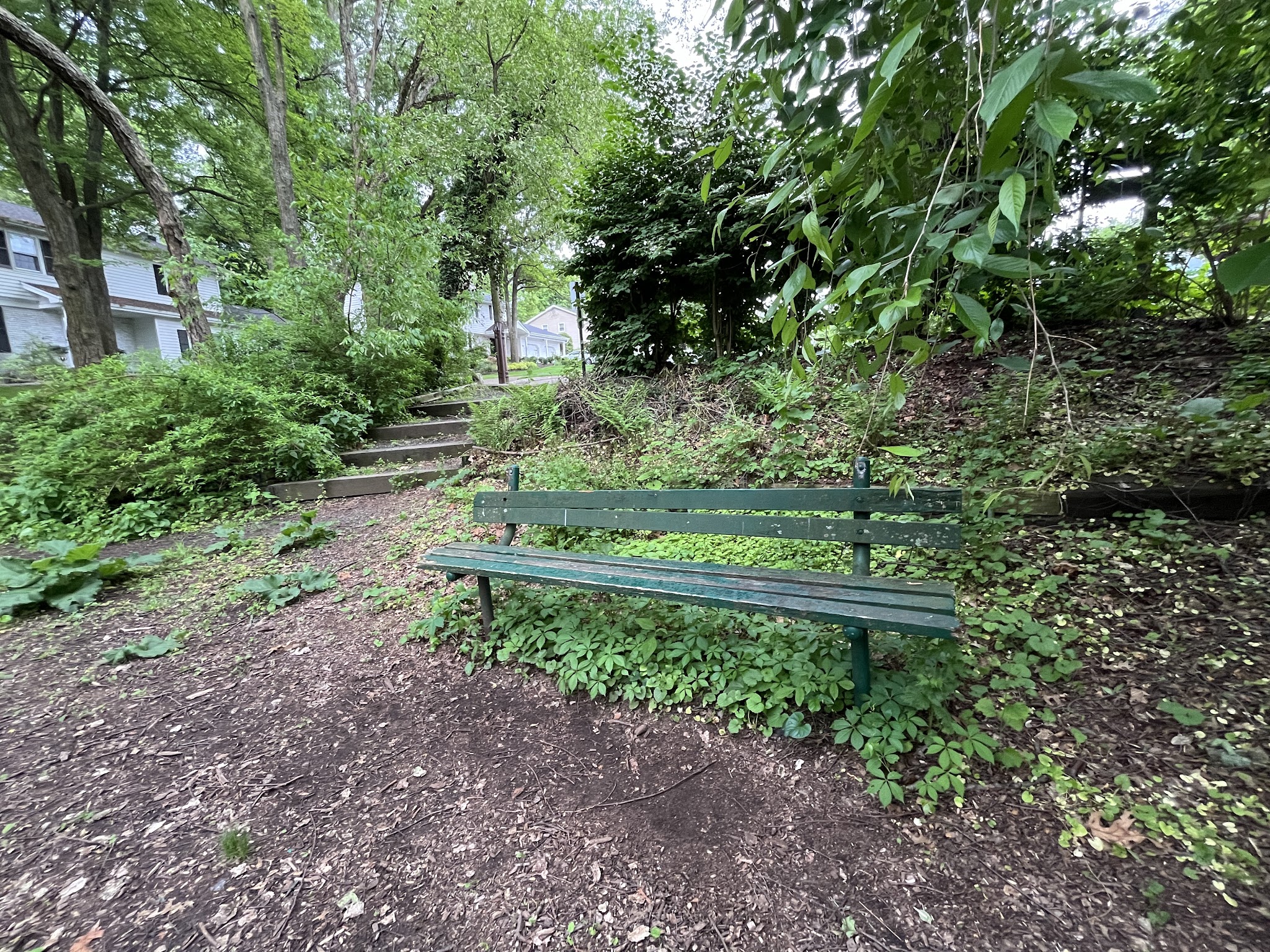 Twinney Pond Park - Ridgewood, NJ