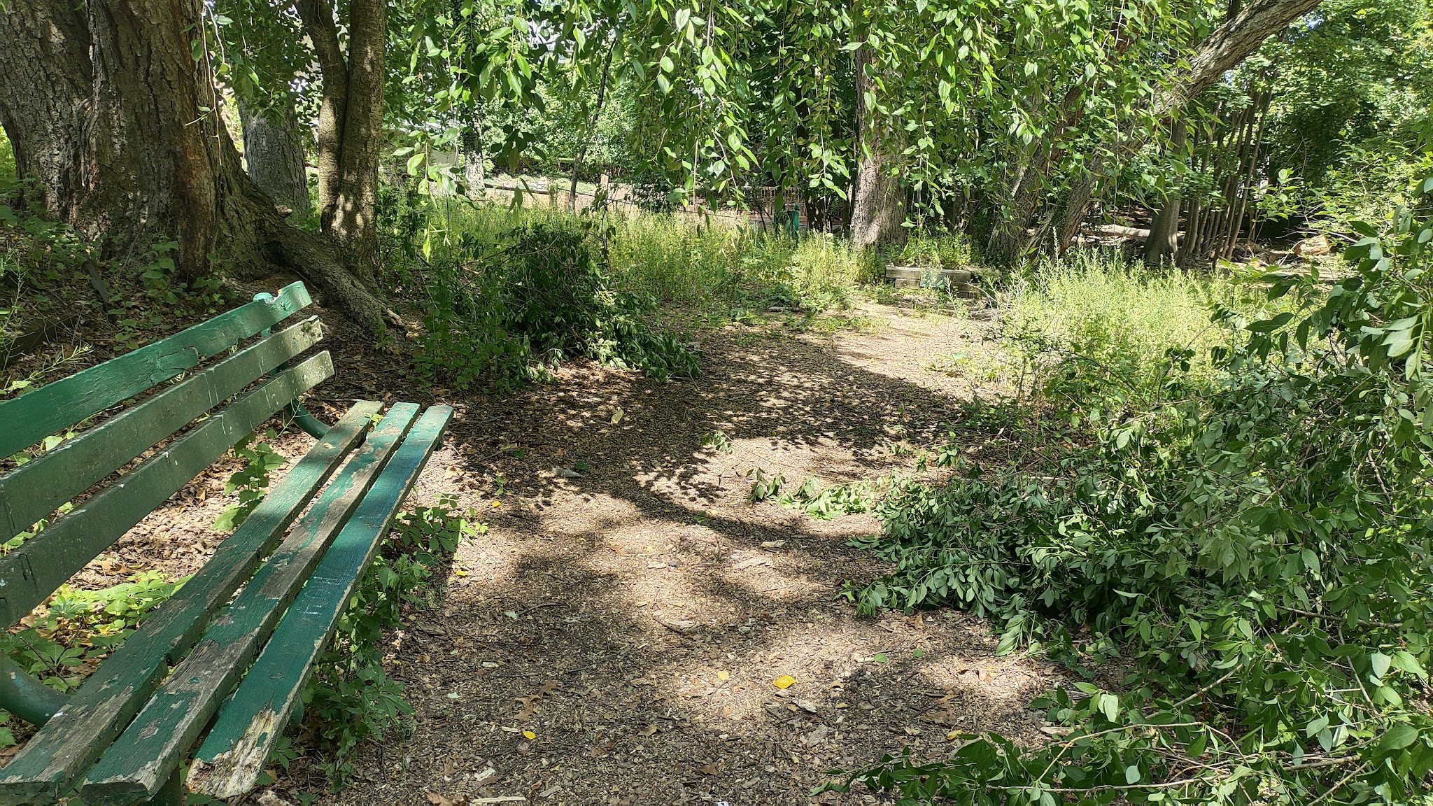 Twinney Pond Park - Ridgewood, NJ