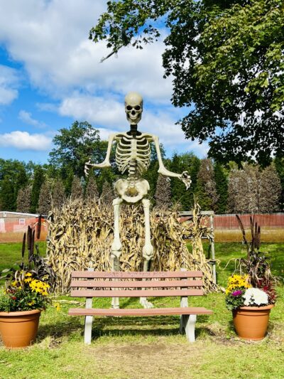 Ward's Farm Pumpkin Patch - Ridgewood, NJ