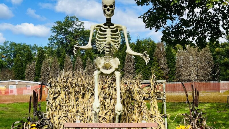 Ward's Farm Pumpkin Patch - Ridgewood, NJ