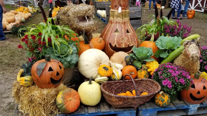 Ward's Farm Pumpkin Patch - Ridgewood, NJ