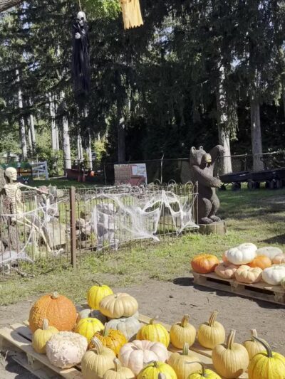 Ward's Farm Pumpkin Patch - Ridgewood, NJ