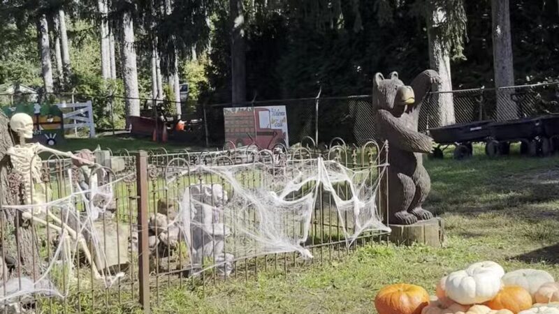 Ward's Farm Pumpkin Patch - Ridgewood, NJ