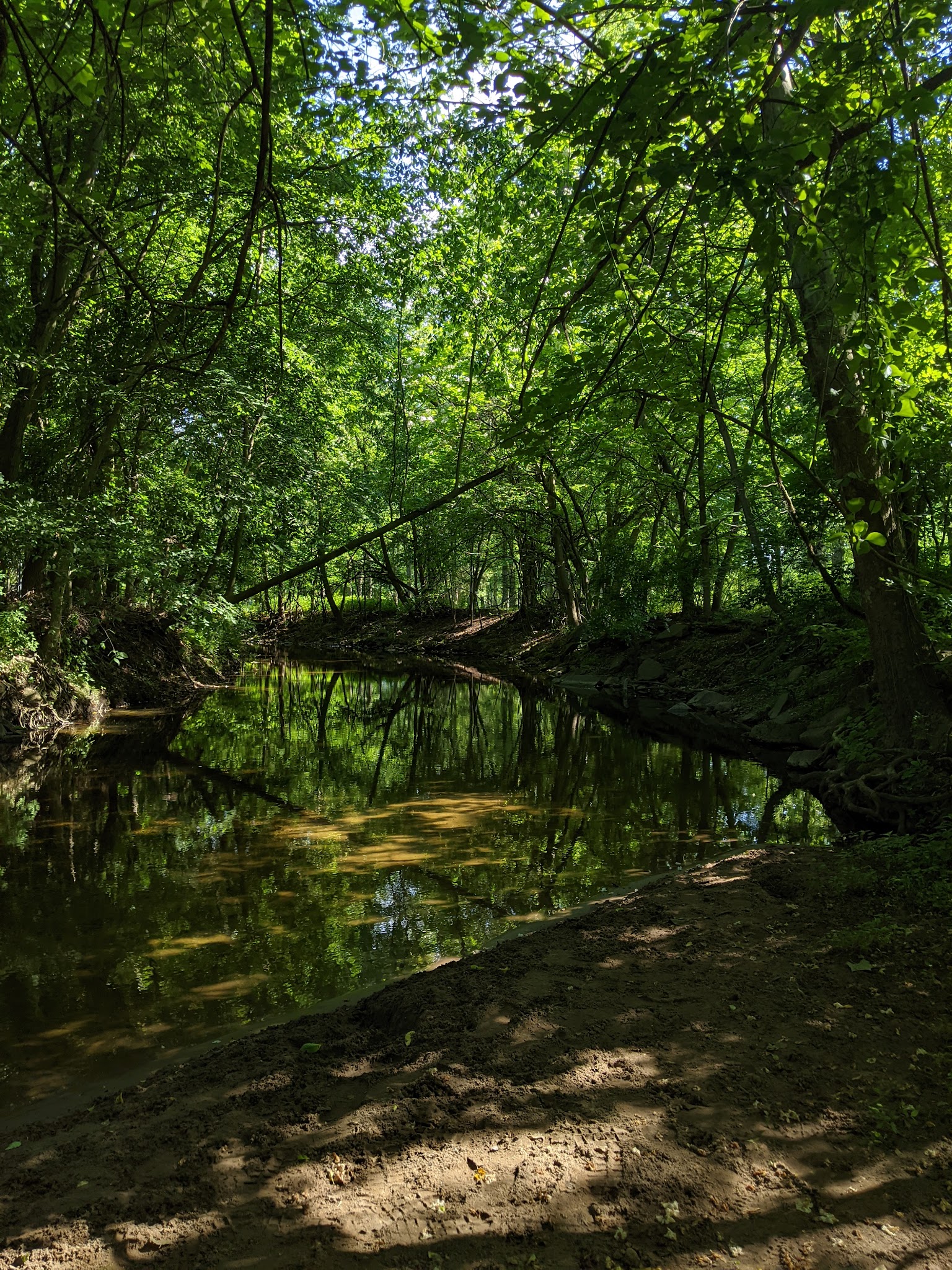 Wild Duck Pond - Ridgewood, NJ