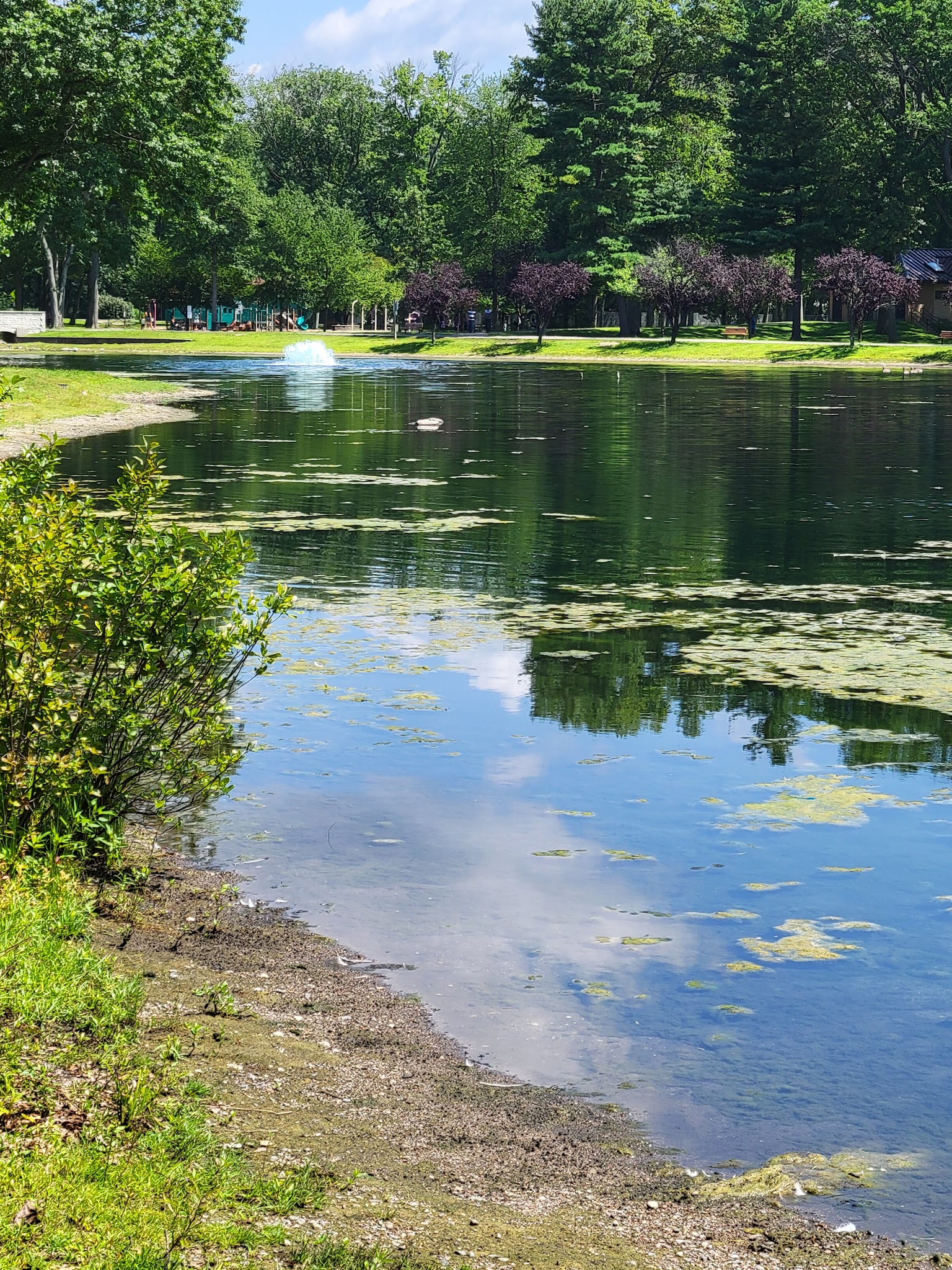 Wild Duck Pond - Ridgewood, NJ
