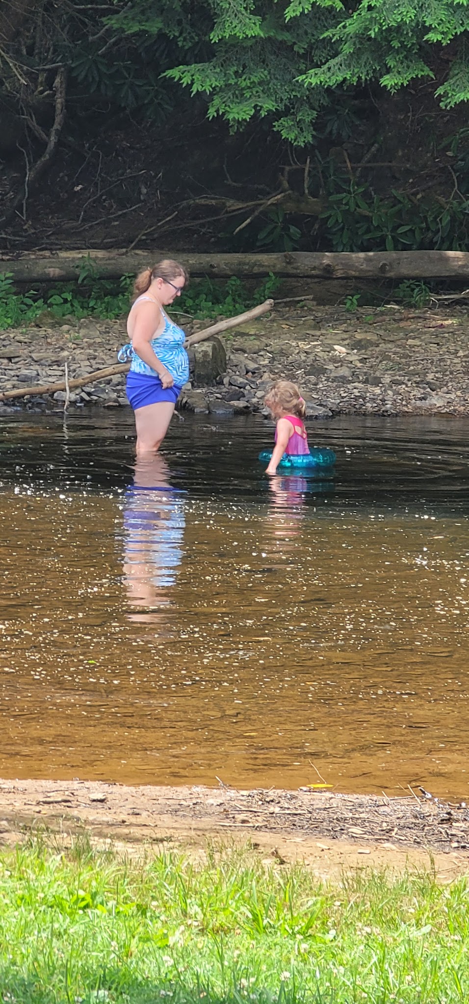 Sandy Beach Dog Park - Ridgway, PA