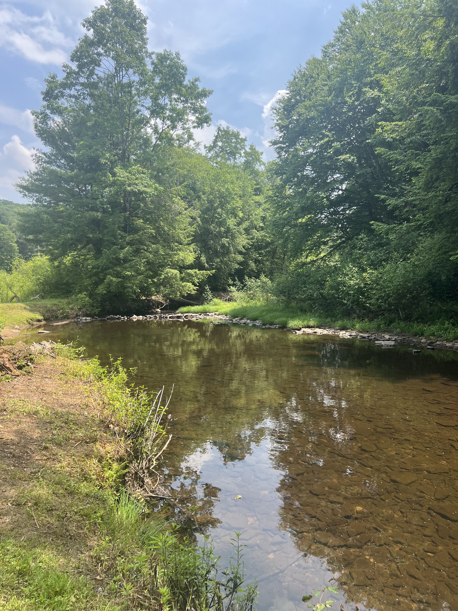 Sandy Beach Park - Ridgway, PA