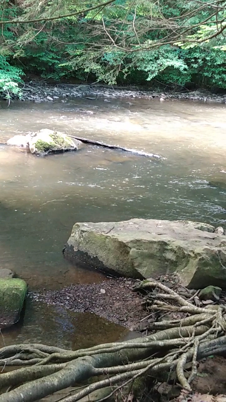 Sandy Beach Park - Ridgway, PA