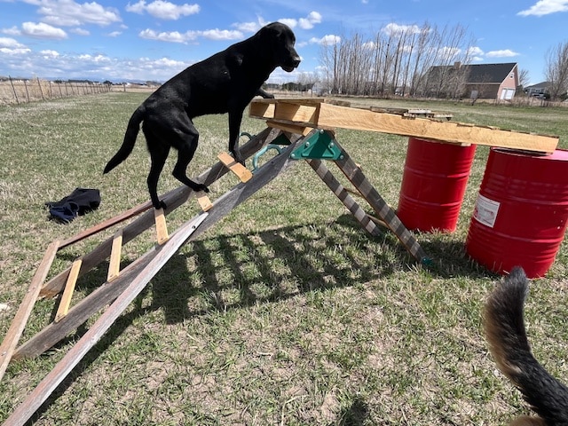 Idaho Barks and Recreation - Rigby, ID