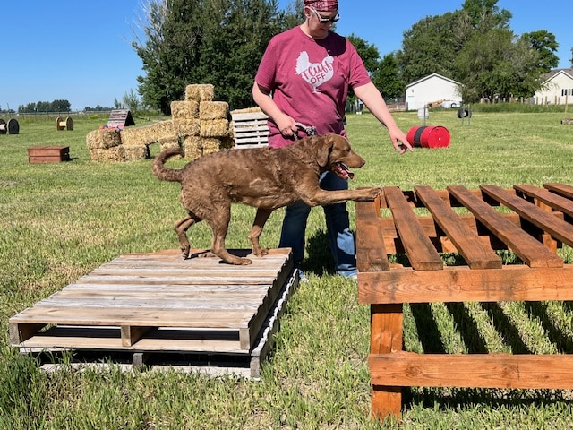 Idaho Barks and Recreation - Rigby, ID