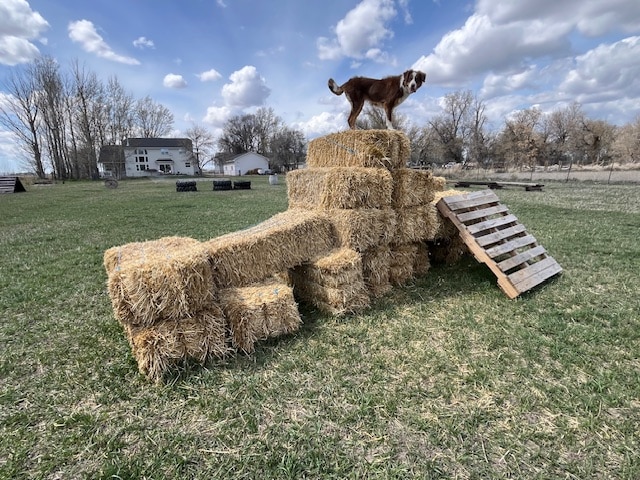 Idaho Barks and Recreation - Rigby, ID
