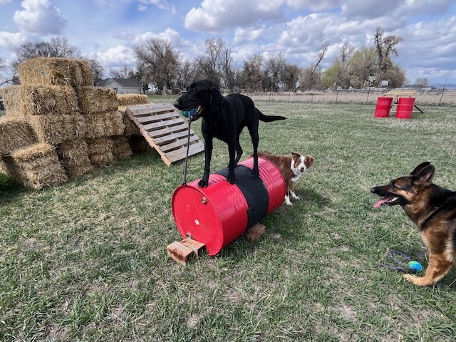 Idaho Barks and Recreation - Rigby, ID