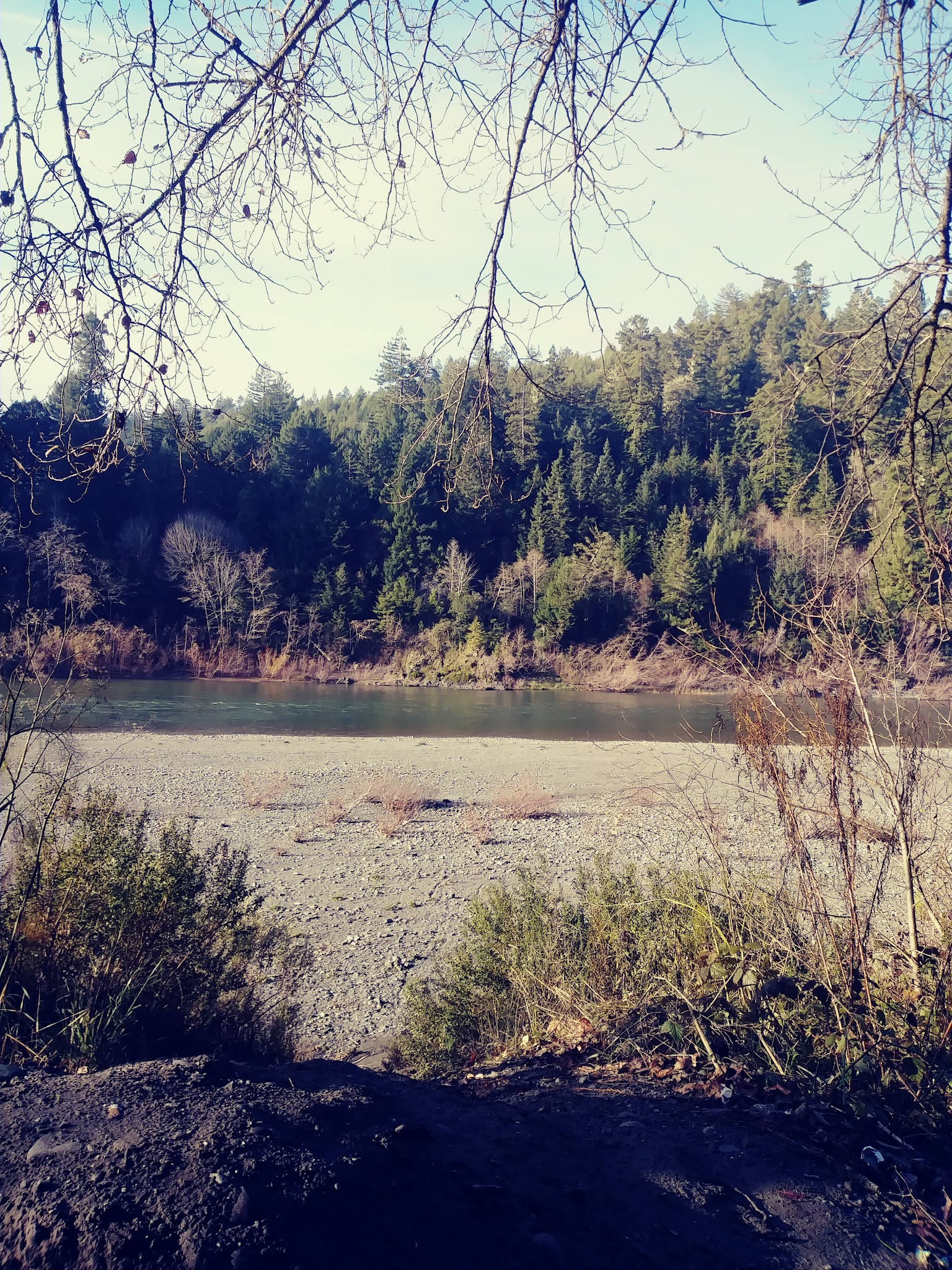 Fireman's Park - Rio Dell, CA