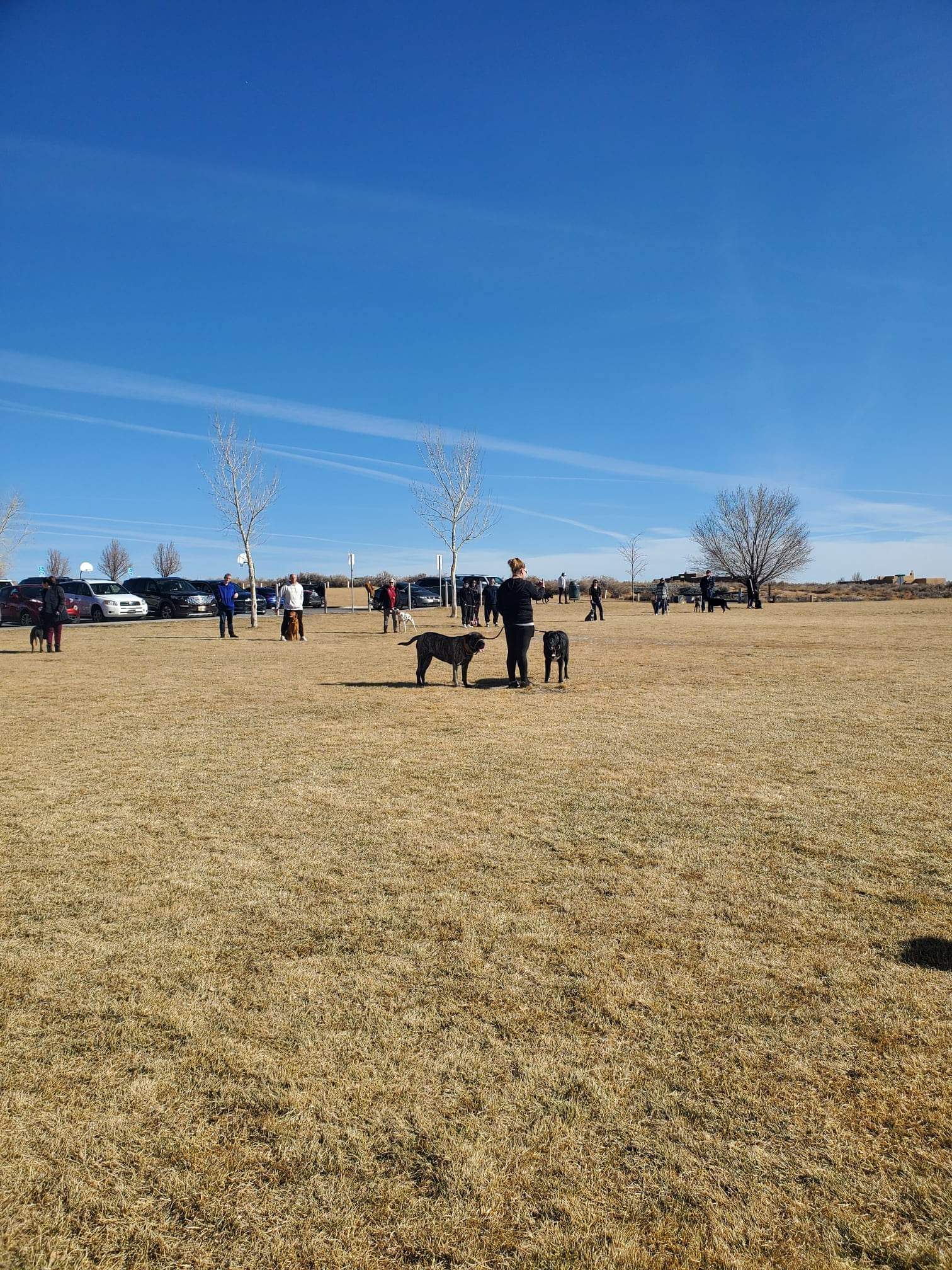 High Range Dog Park - Rio Rancho, NM