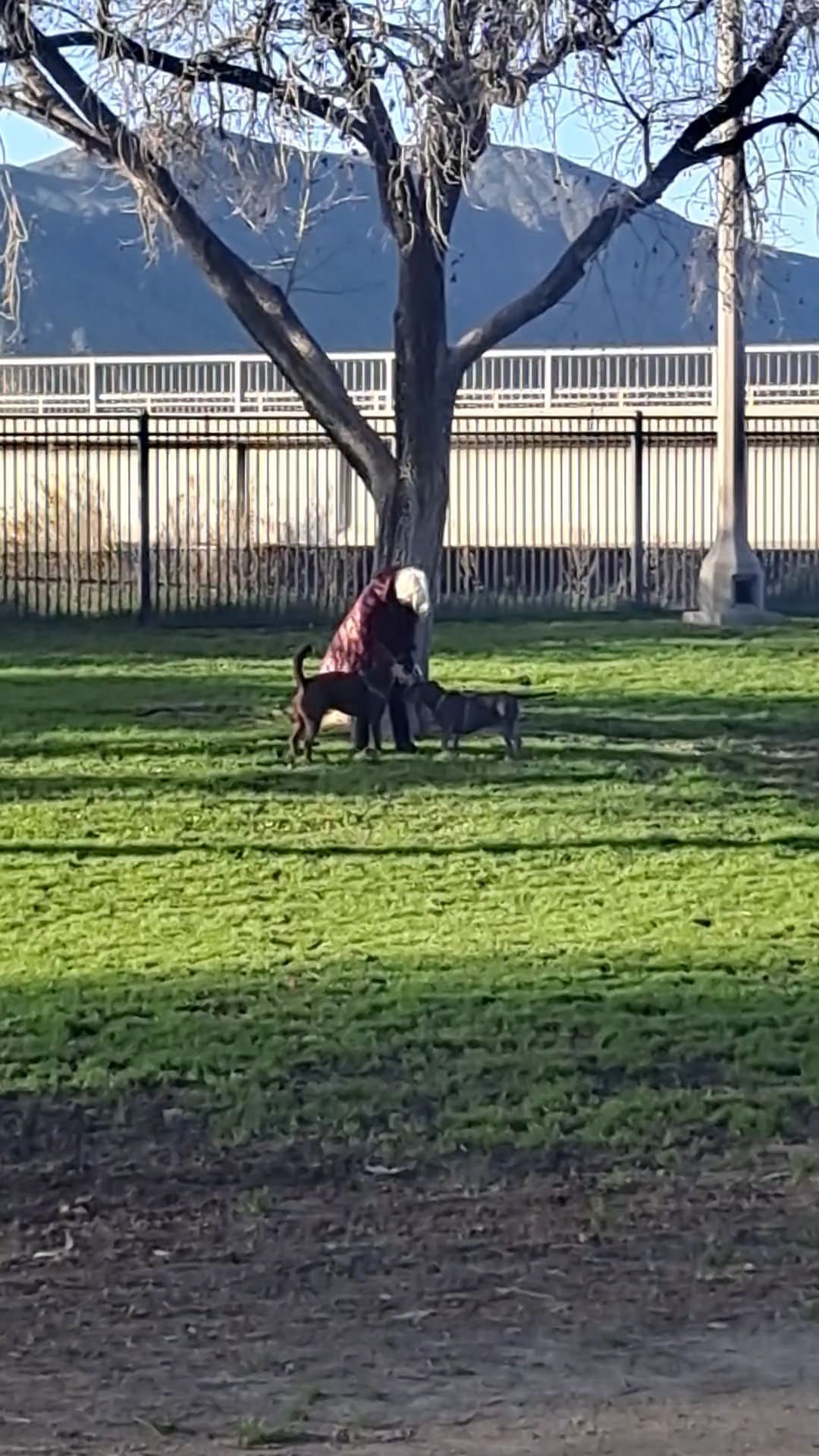 Carlson Park - Riverside, CA