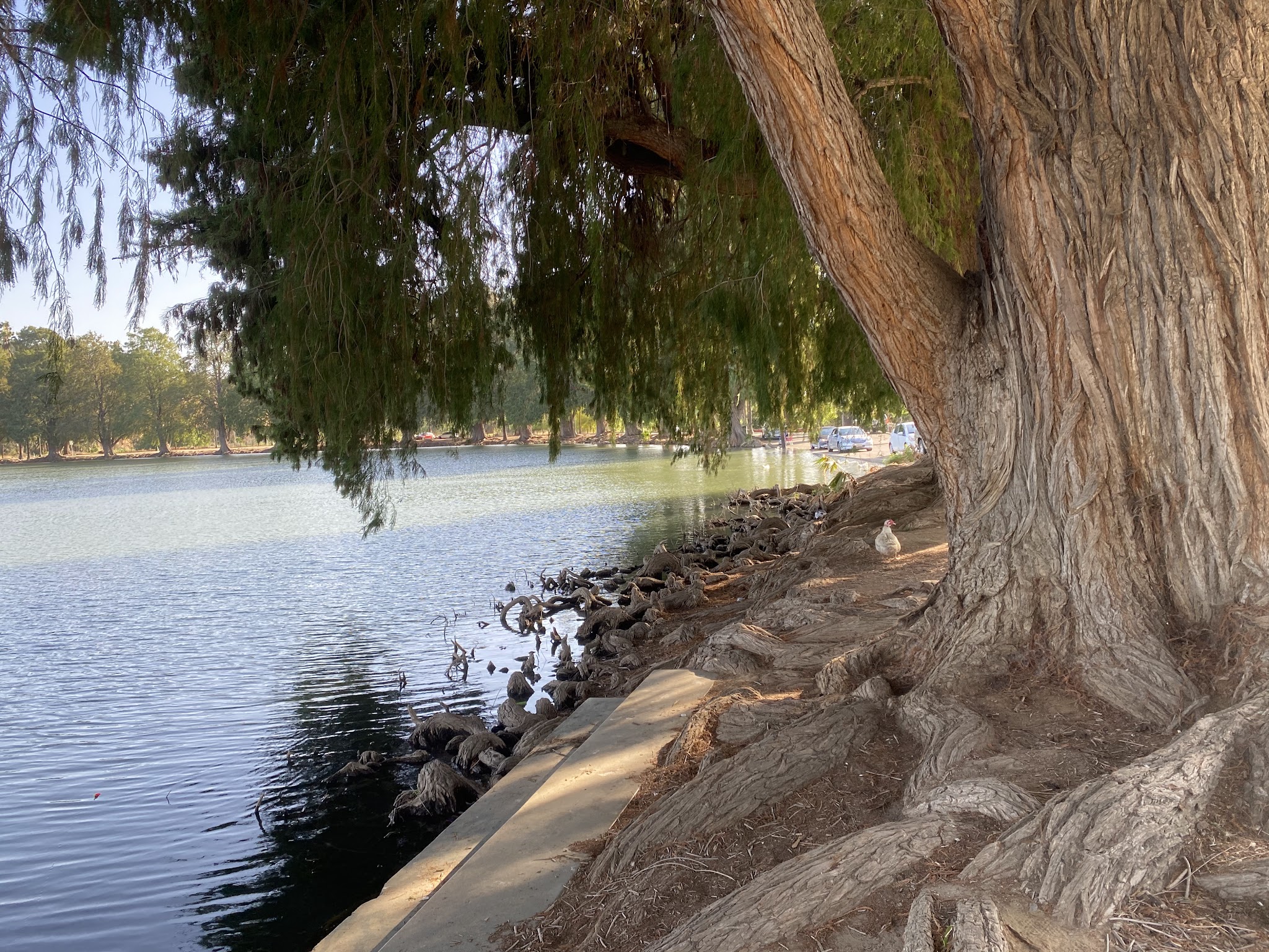Fairmount Park - Riverside, CA